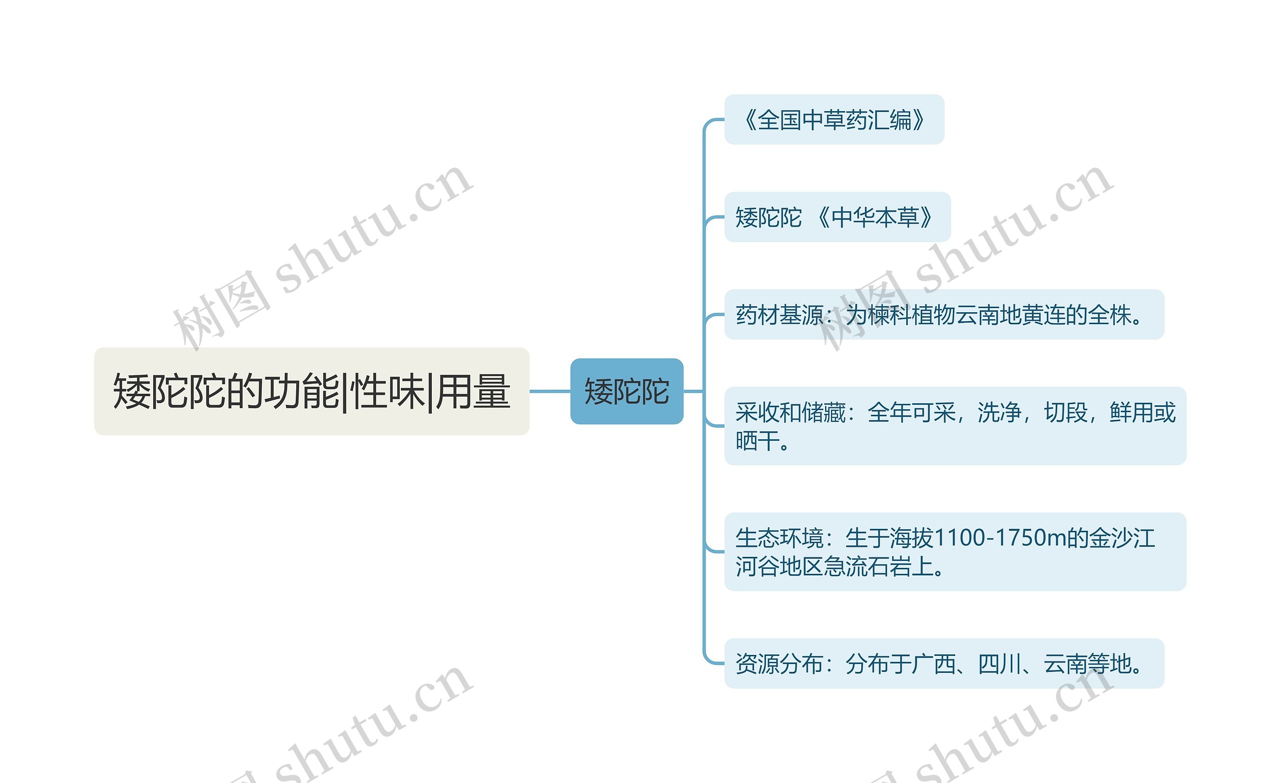 矮陀陀的功能|性味|用量思维导图