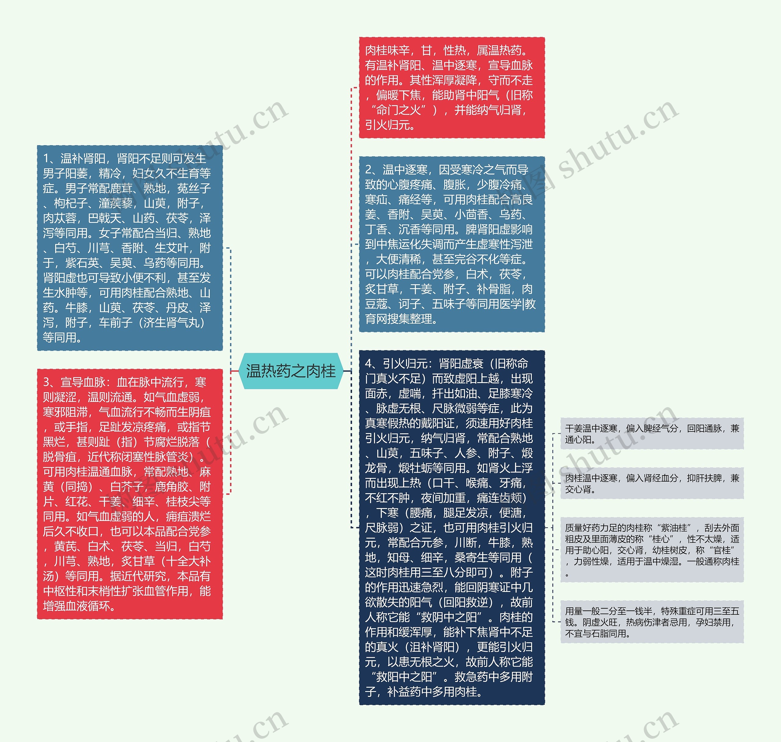 温热药之肉桂