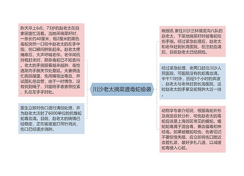 川沙老太摘菜遭毒蛇偷袭