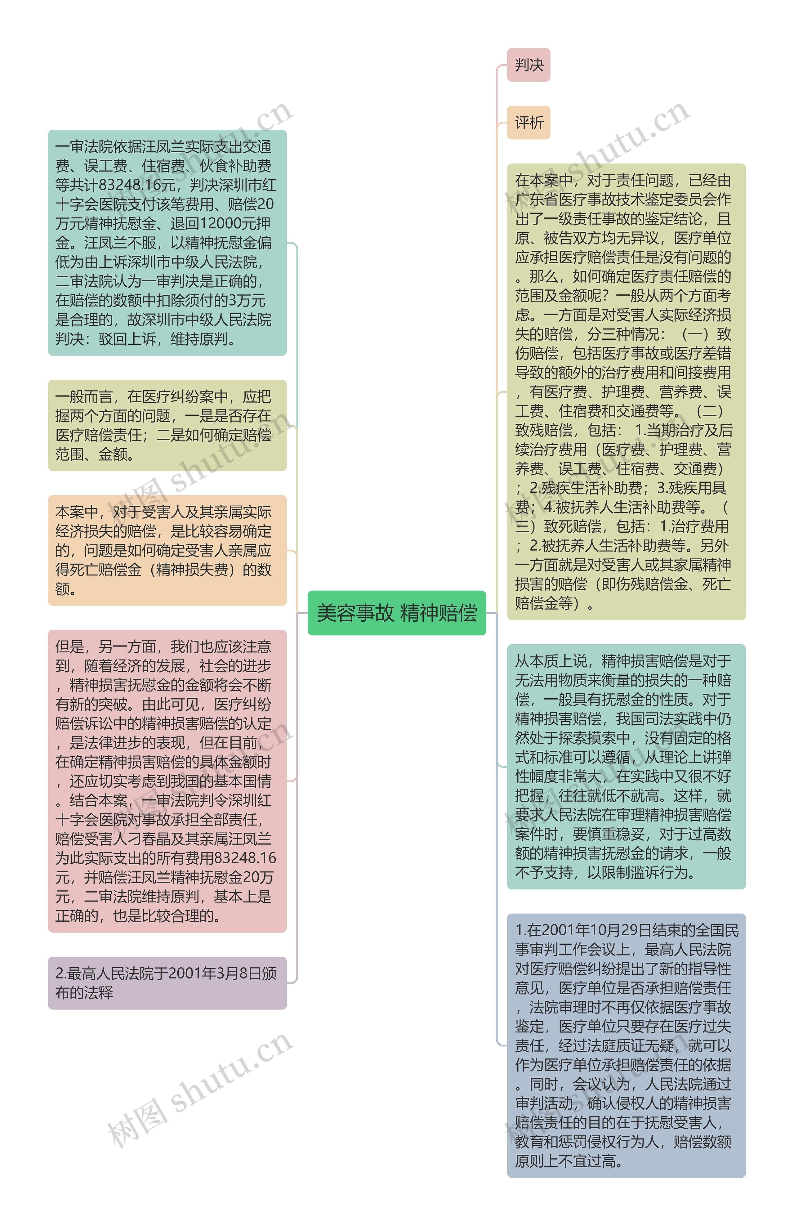 美容事故 精神赔偿思维导图