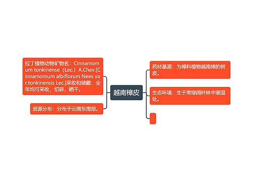 越南樟皮