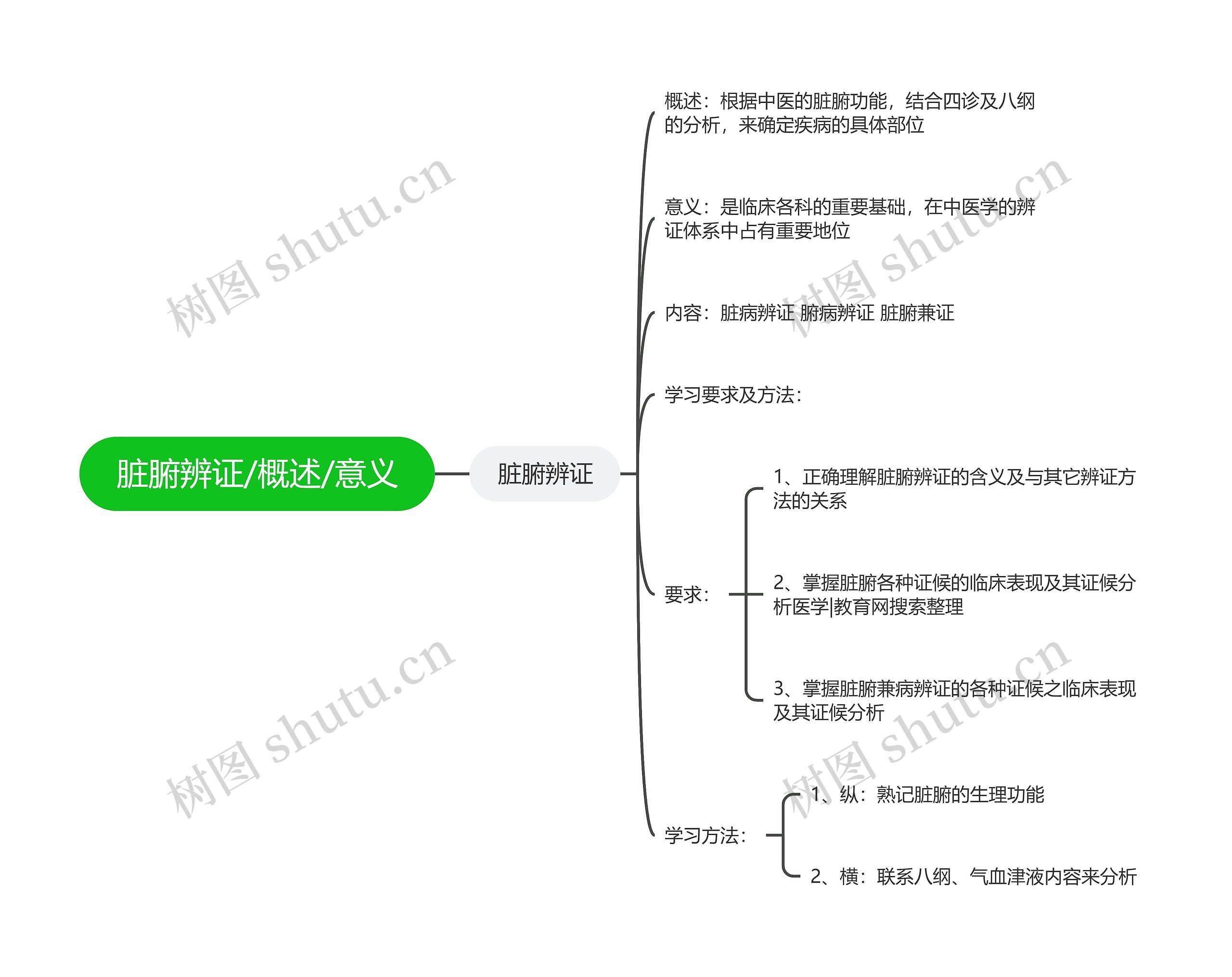 脏腑辨证/概述/意义思维导图