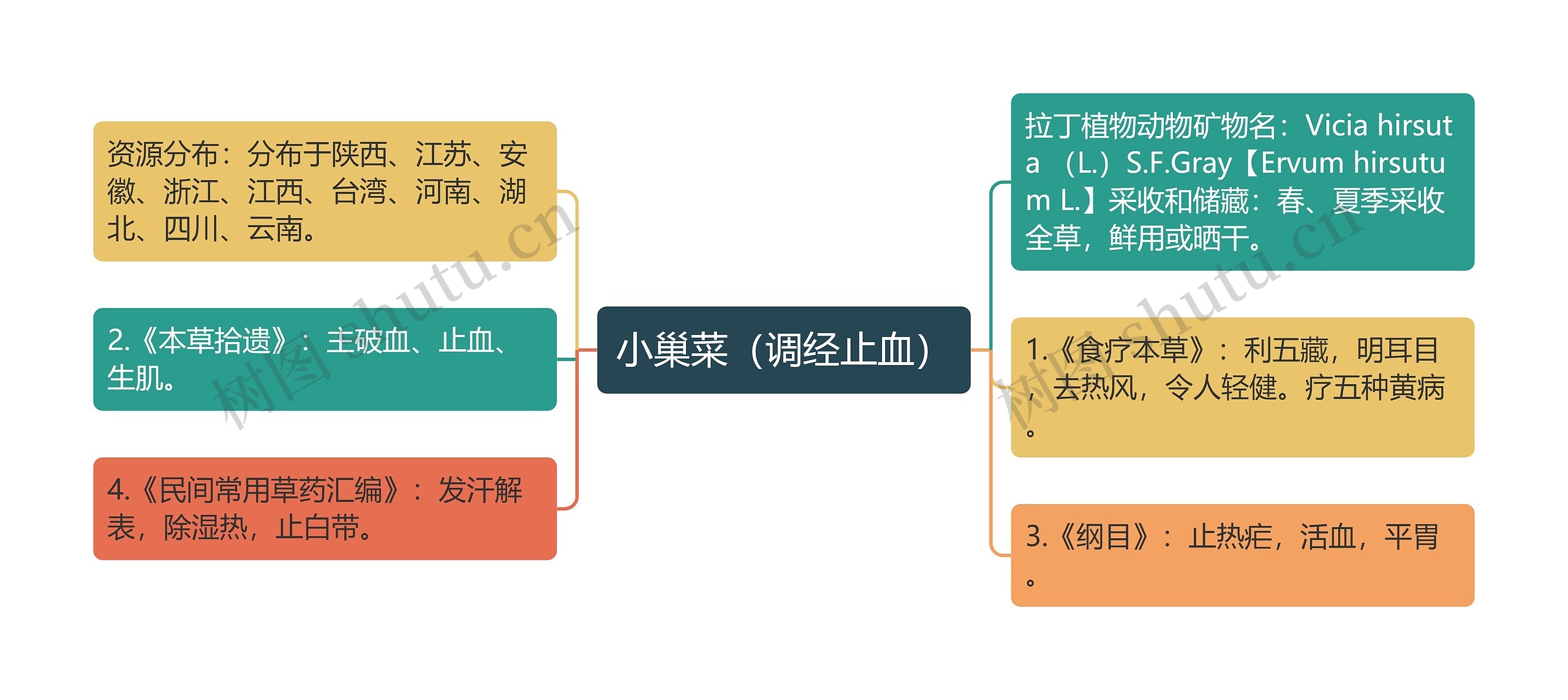 小巢菜(调经止血) 小巢菜(调经止血)
