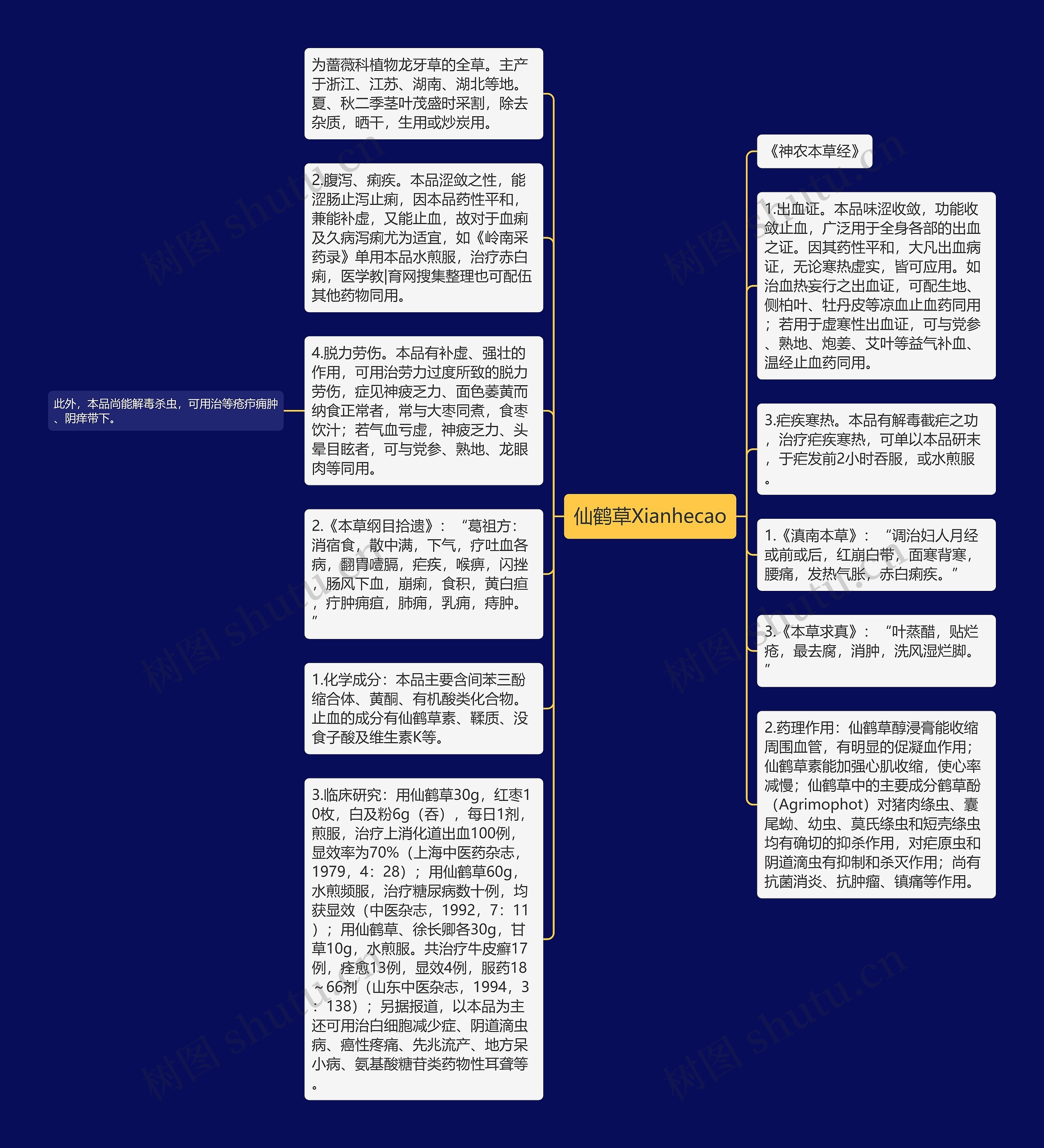 仙鹤草Xianhecao思维导图