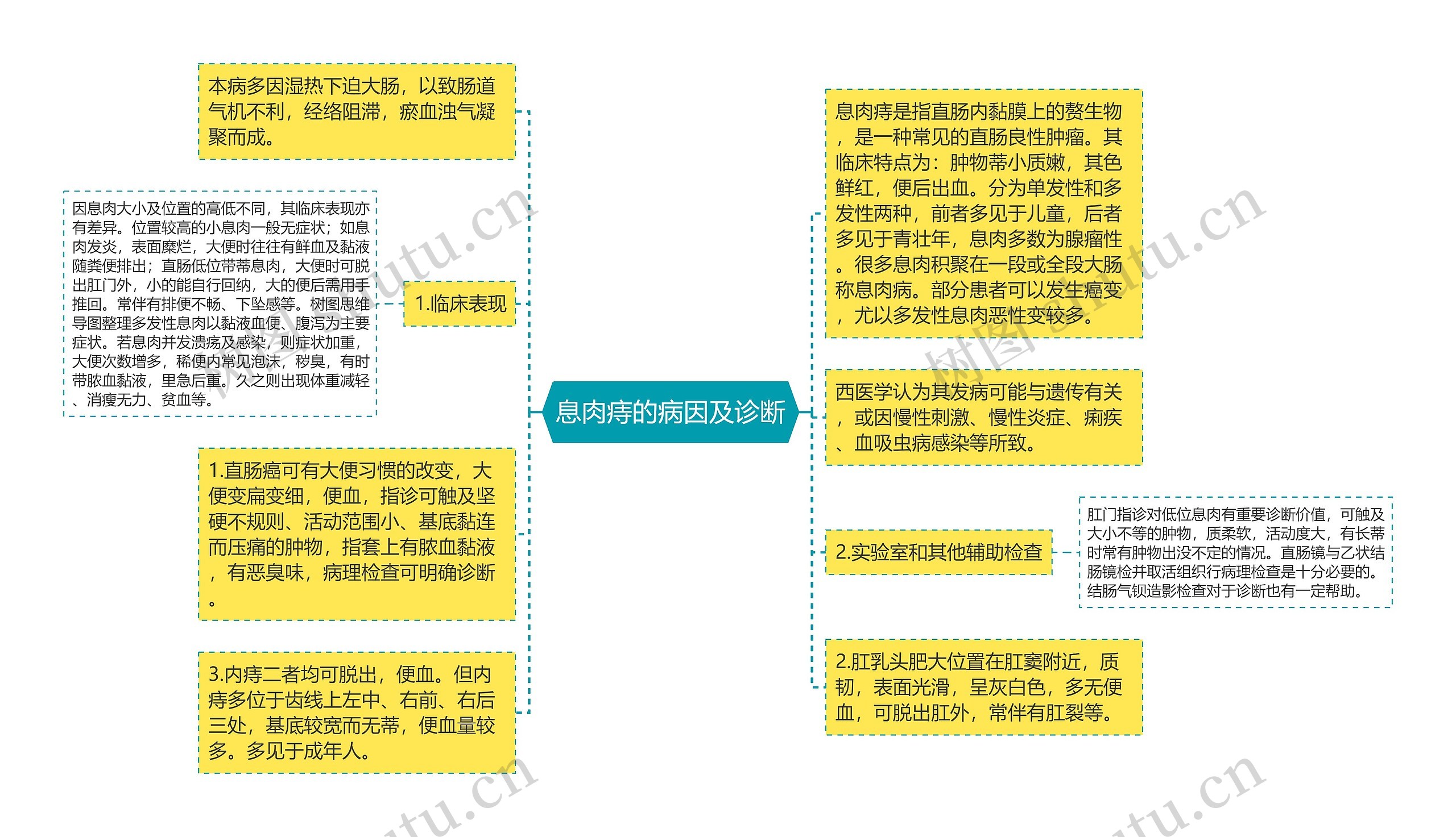 息肉痔的病因及诊断思维导图