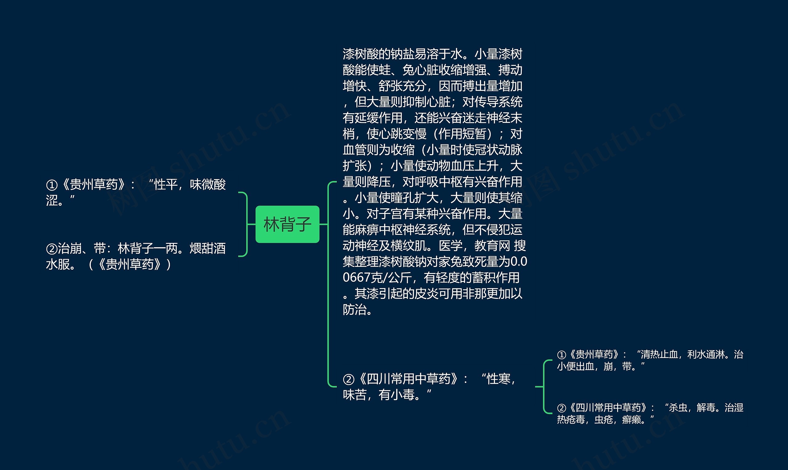 林背子思维导图