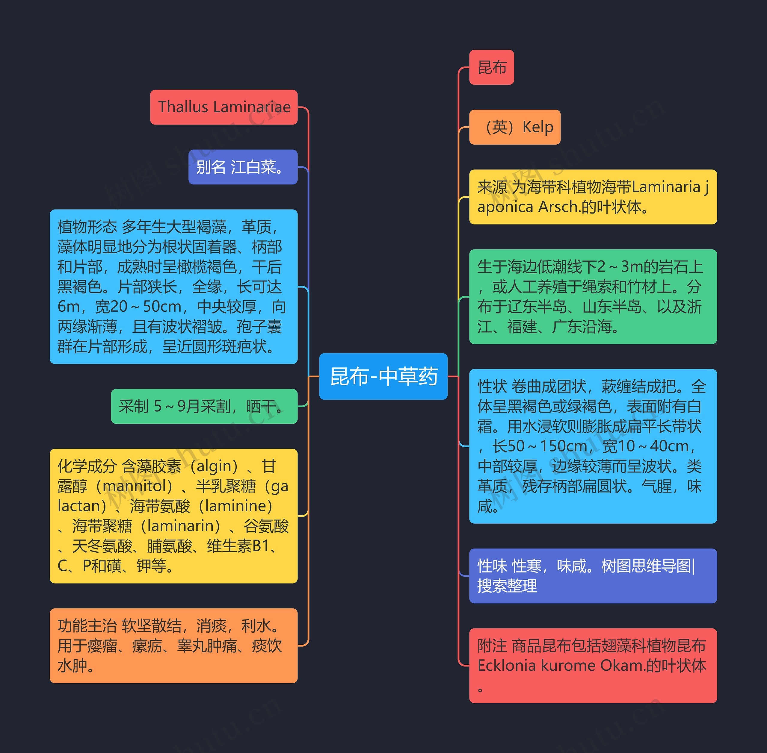 昆布-中草药 昆布-中草药