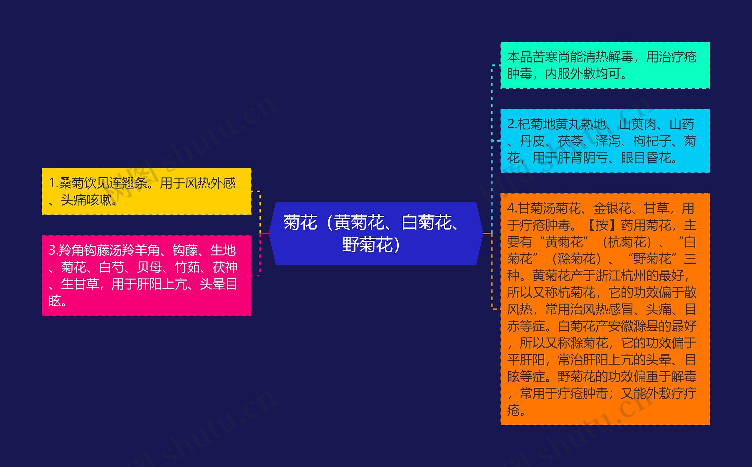 菊花（黄菊花、白菊花、野菊花）思维导图