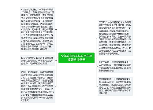 少年骑自行车与公交车相撞获赔19万元