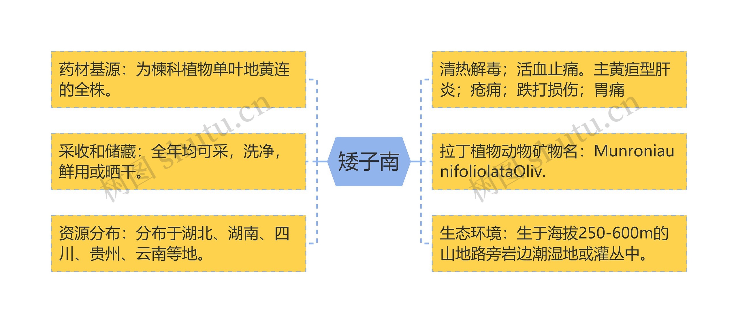 矮子南思维导图