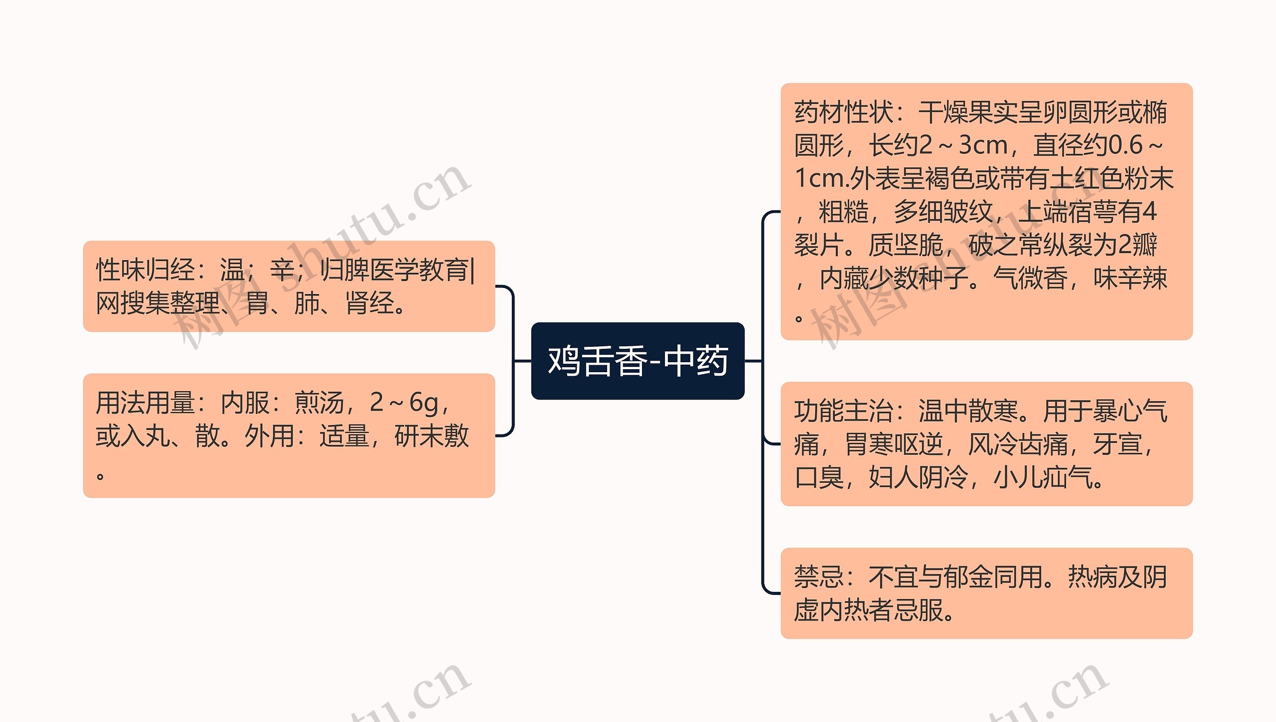 鸡舌香-中药思维导图