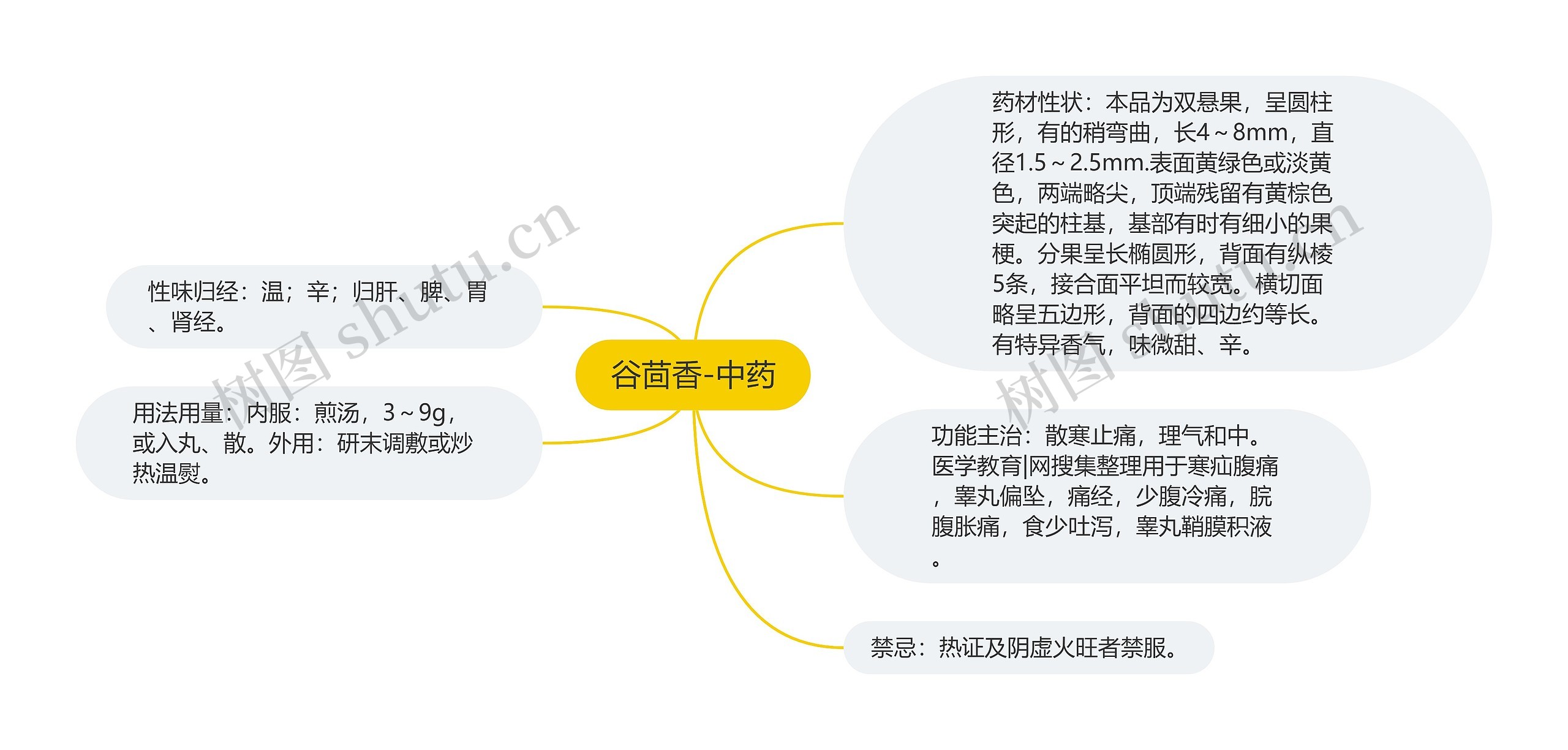 谷茴香-中药思维导图