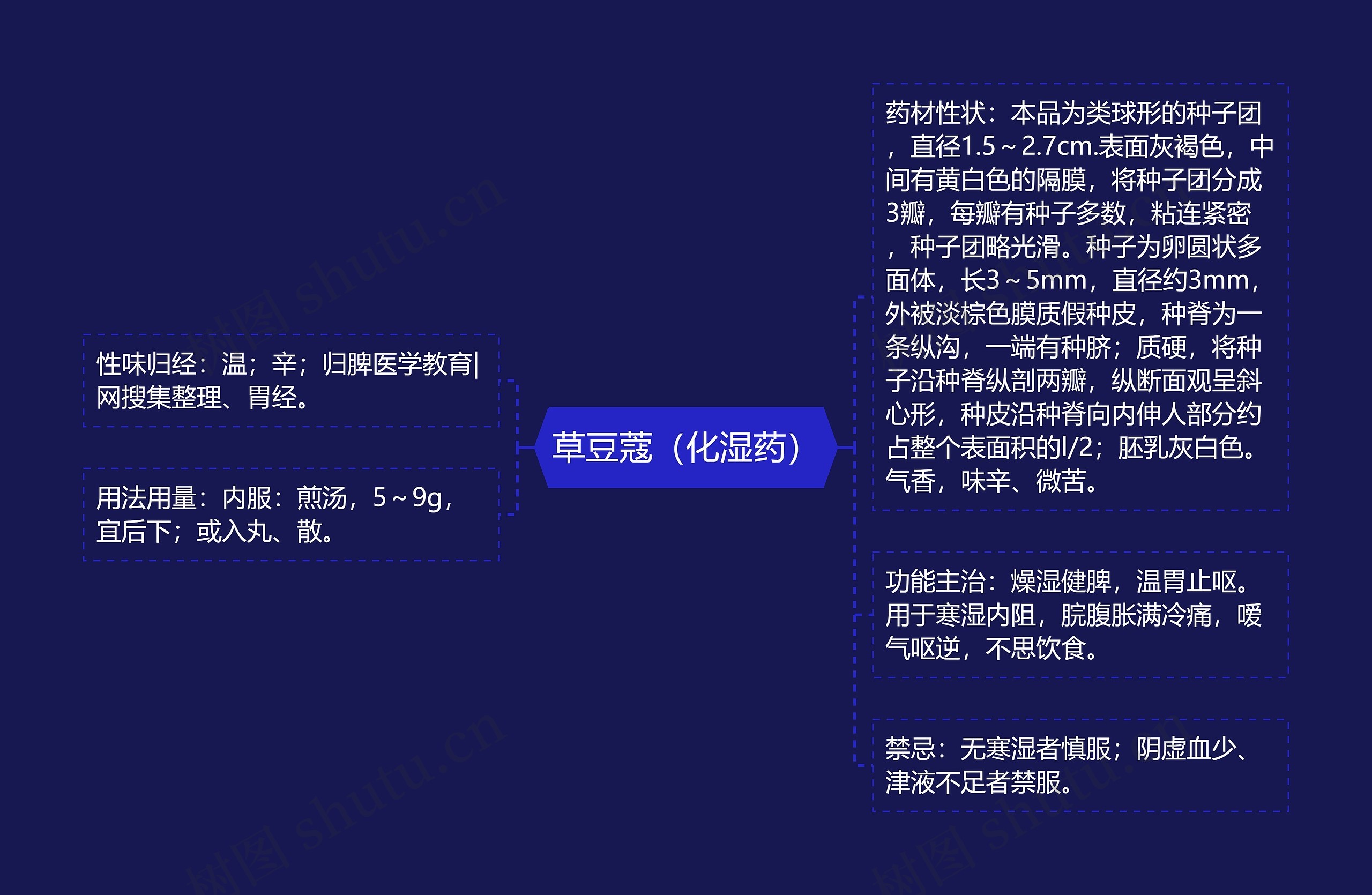 草豆蔻（化湿药）思维导图