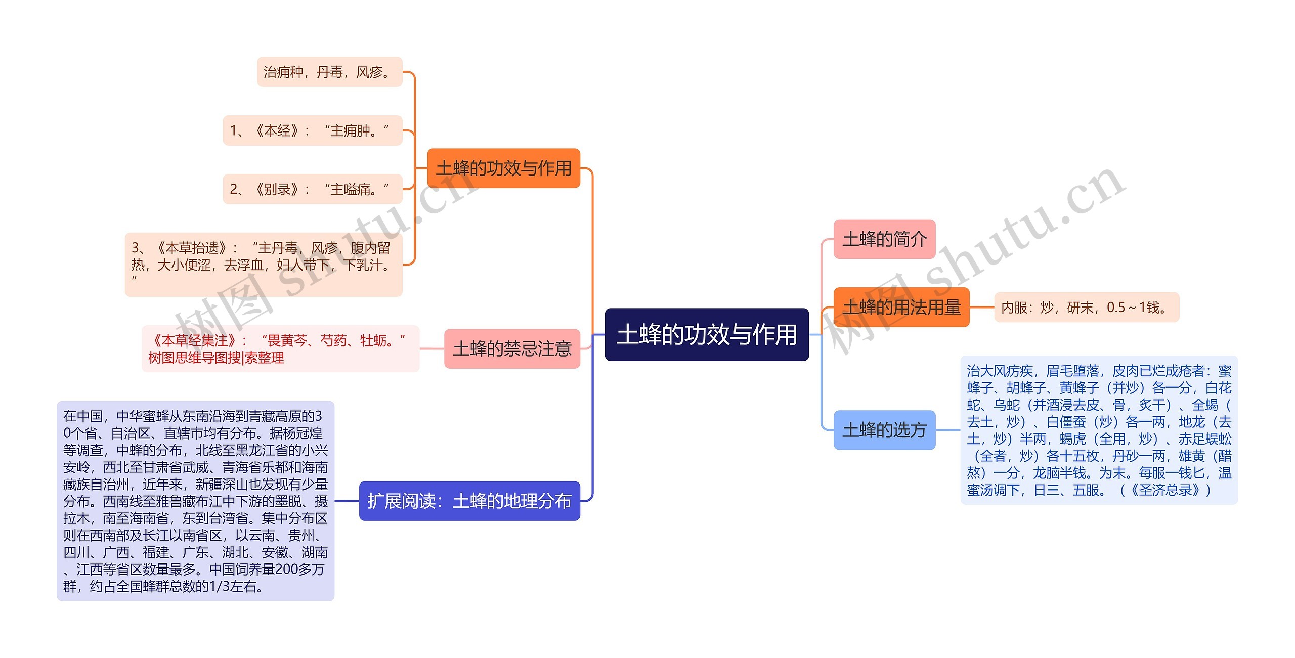 土蜂的功效与作用思维导图