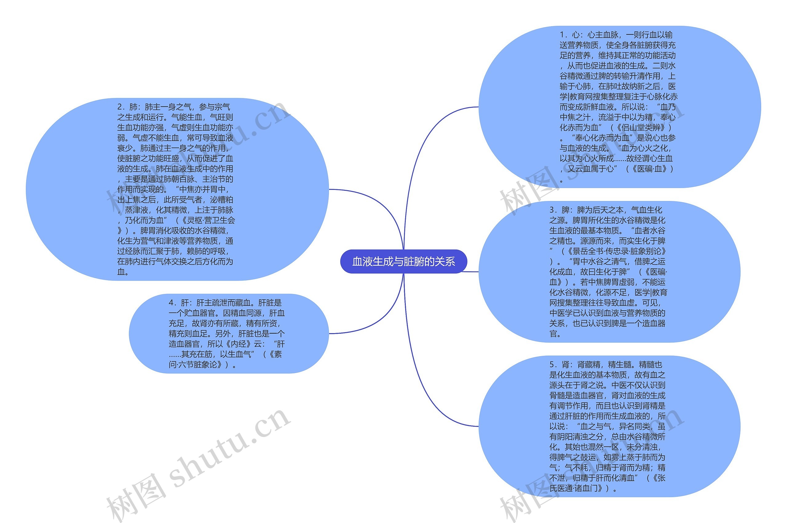 血液生成与脏腑的关系思维导图