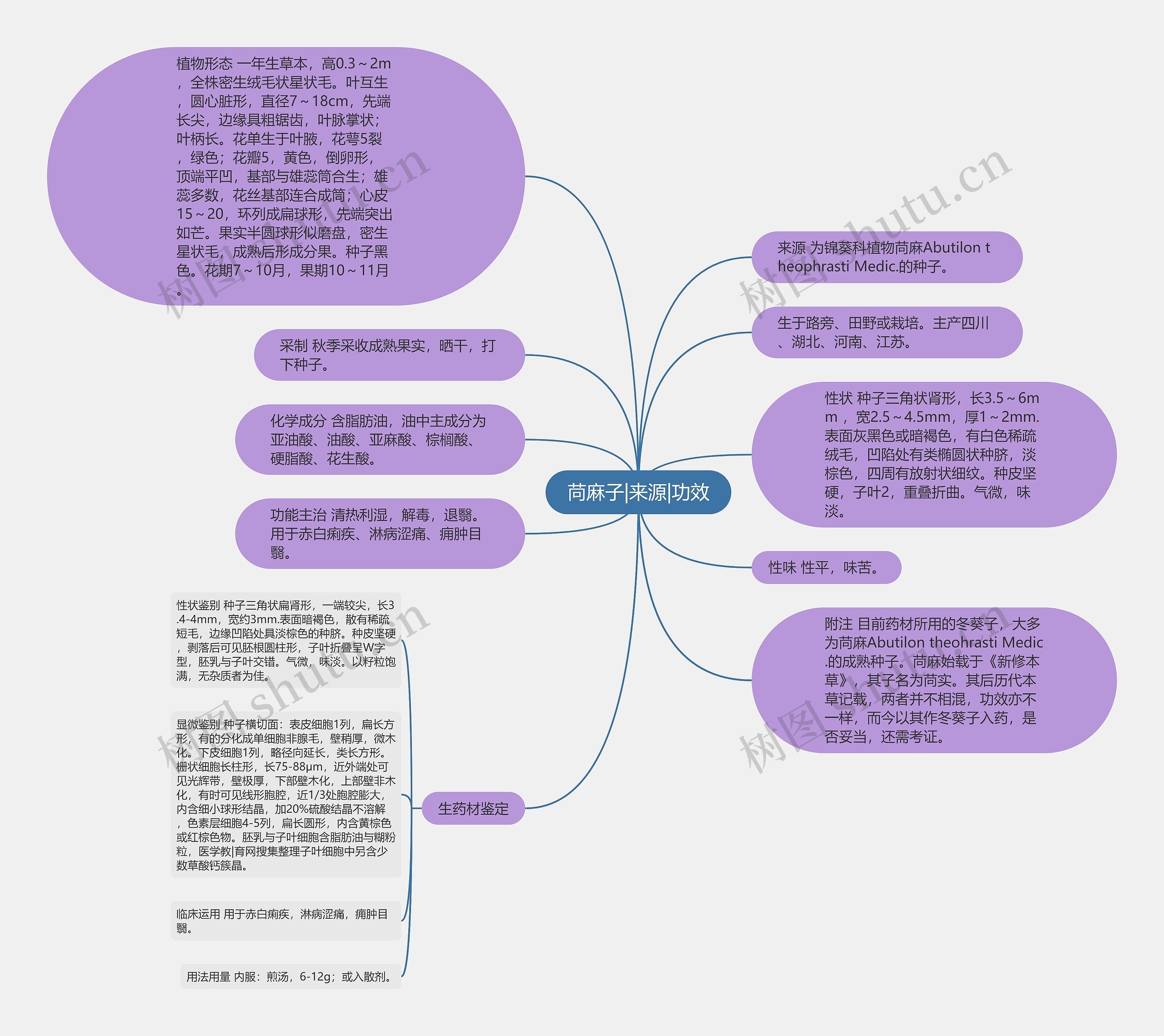 苘麻子|来源|功效思维导图