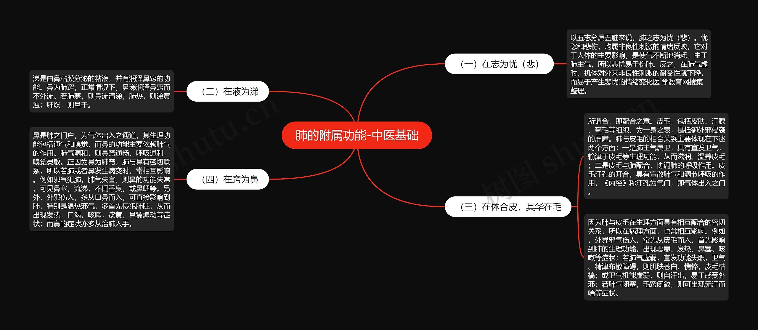 肺的附属功能-中医基础思维导图