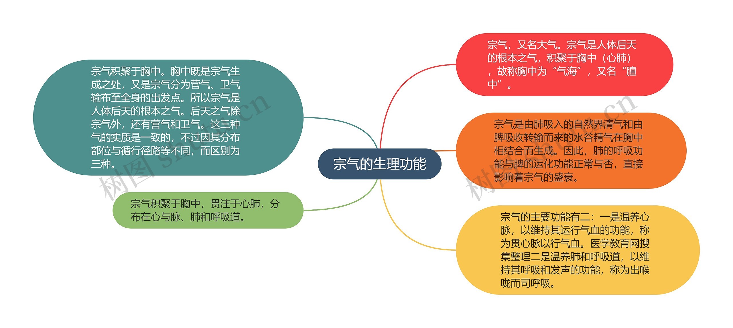 宗气的生理功能思维导图