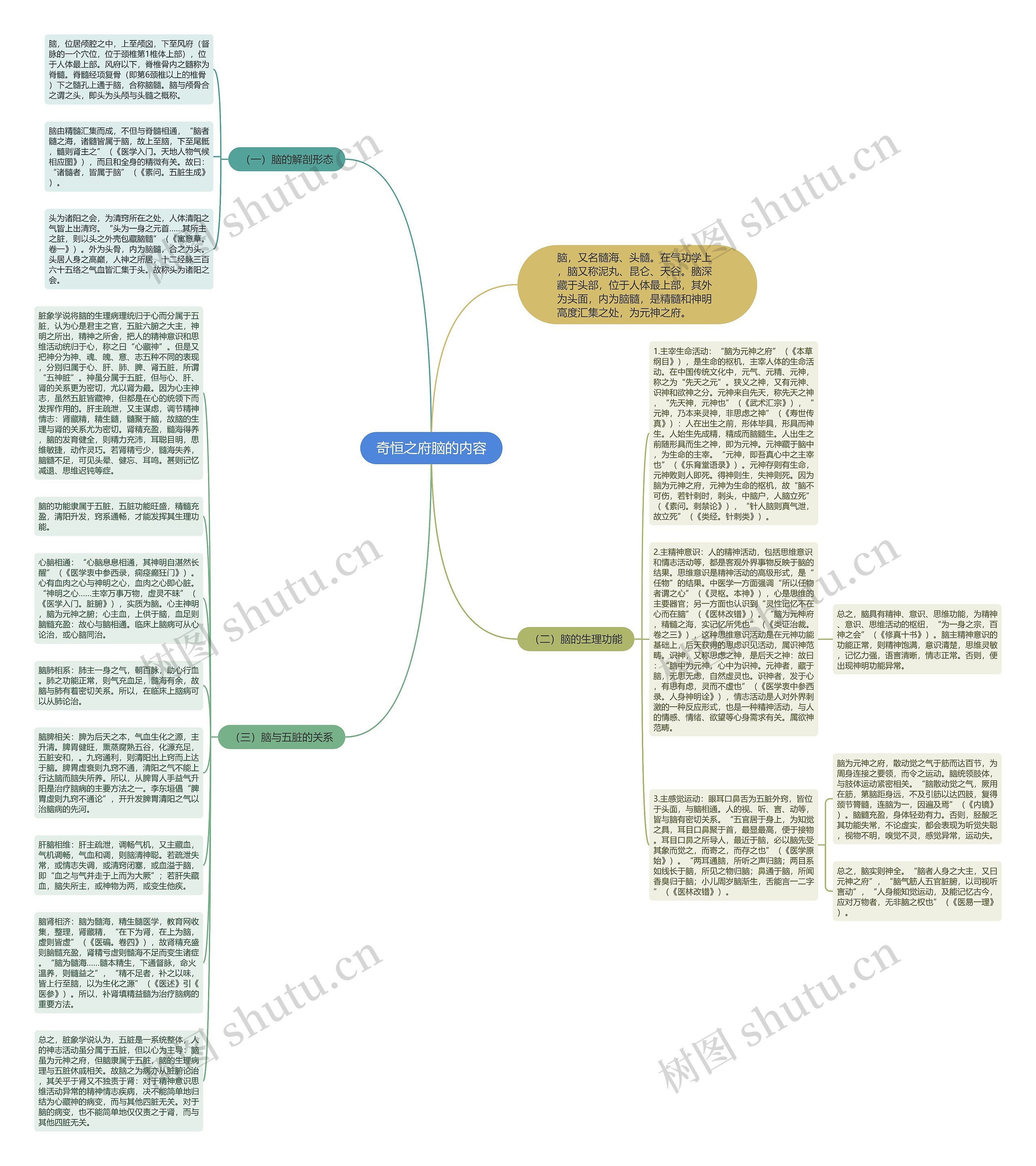 奇恒之府脑的内容思维导图