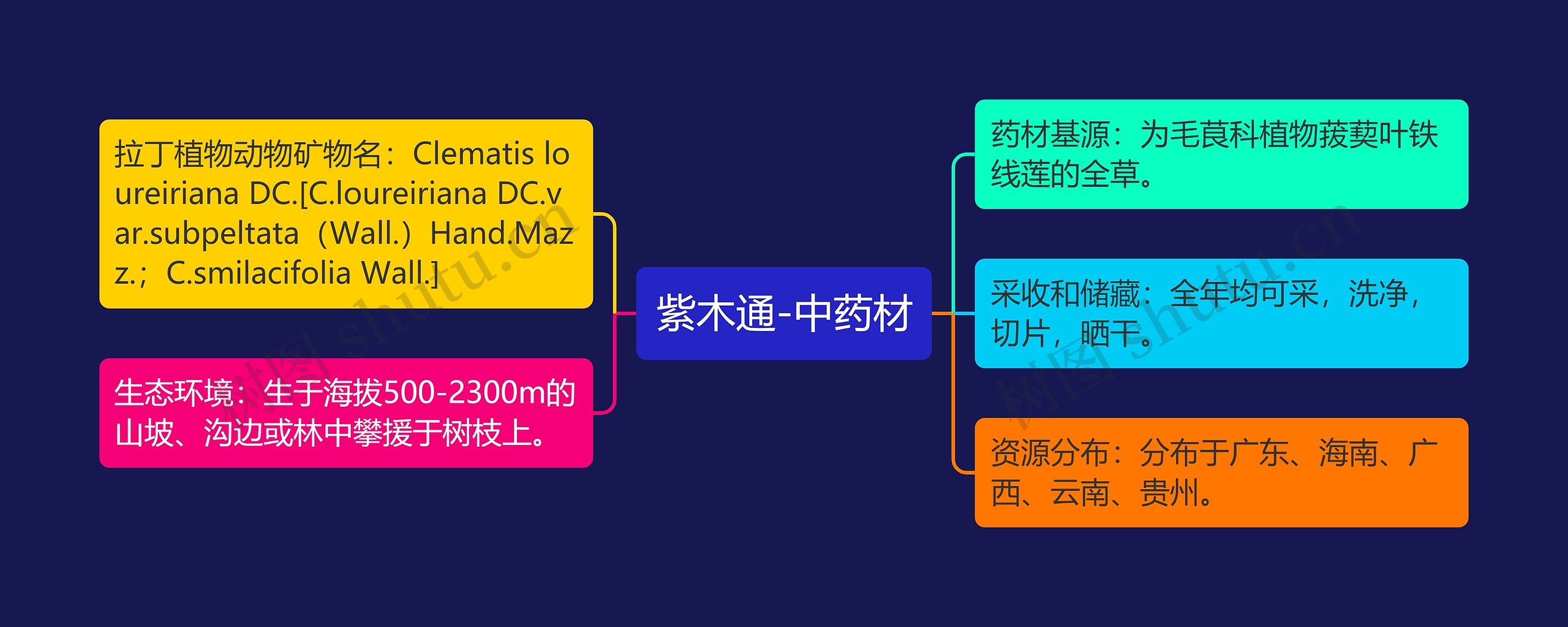 紫木通-中药材思维导图