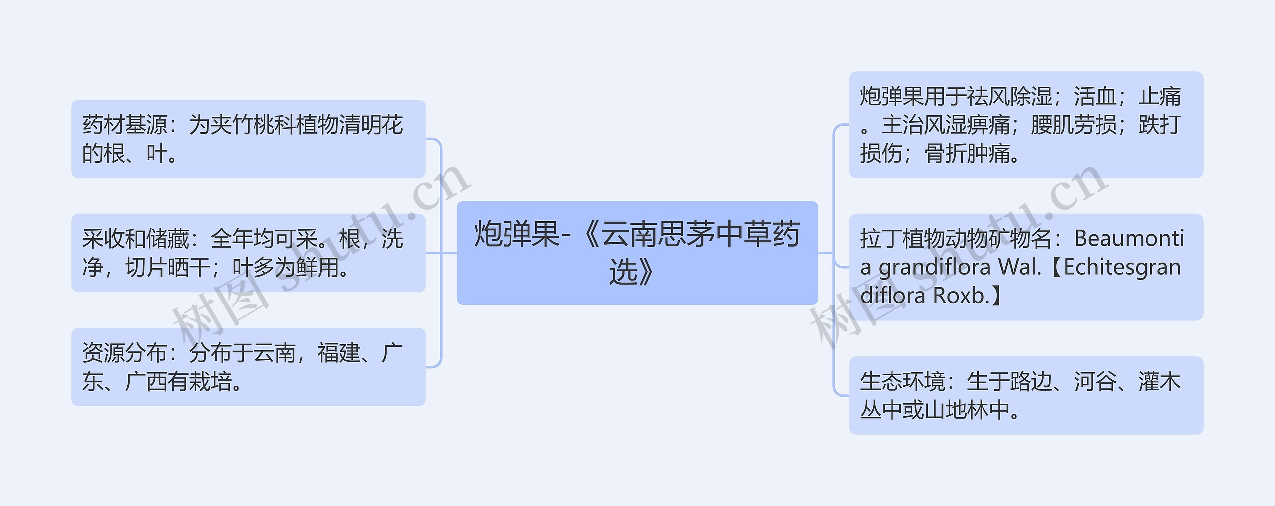 炮弹果-《云南思茅中草药选》思维导图