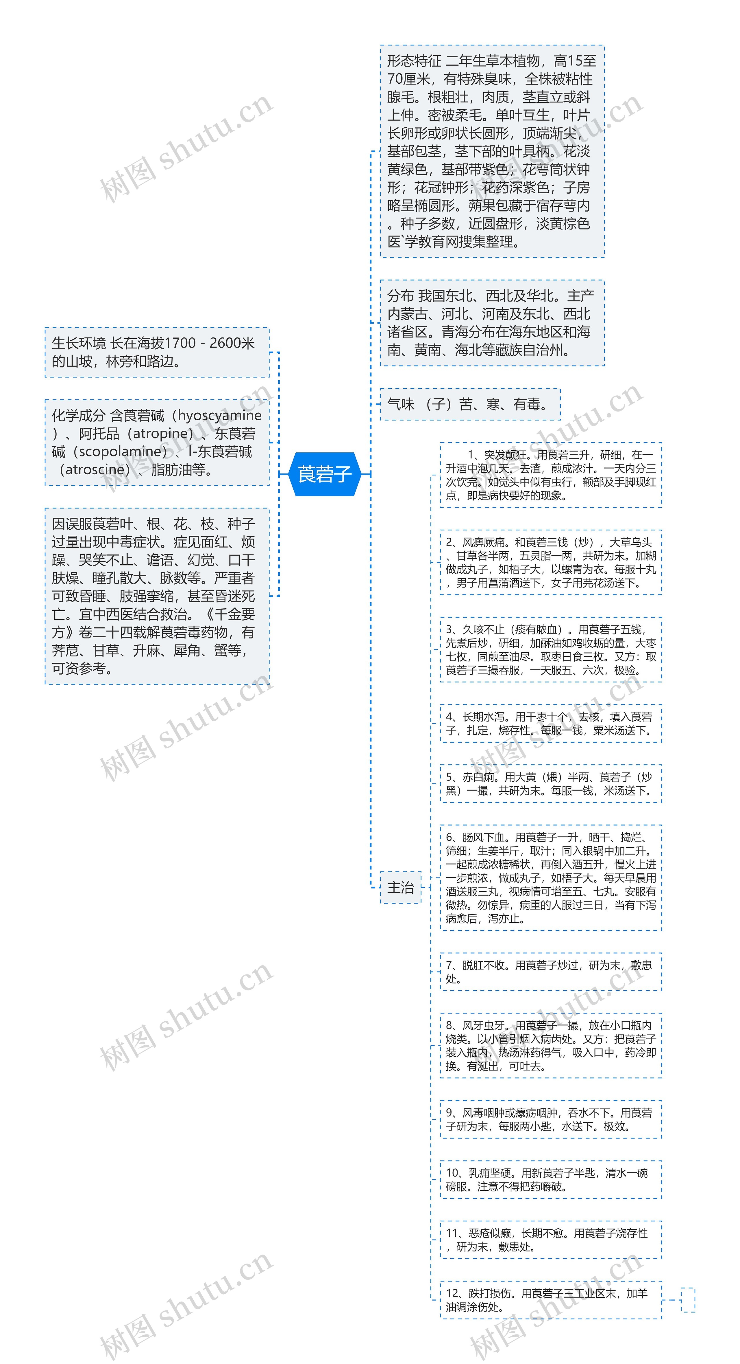 莨菪子思维导图