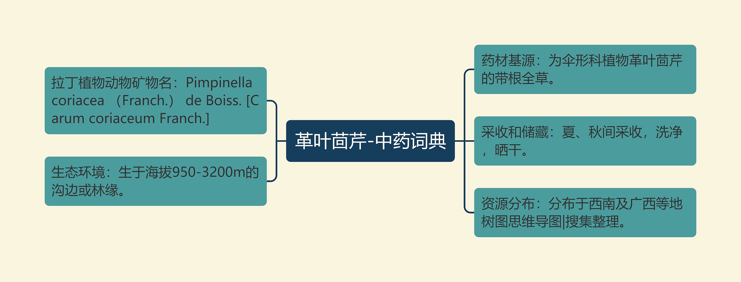 革叶茴芹-中药词典思维导图