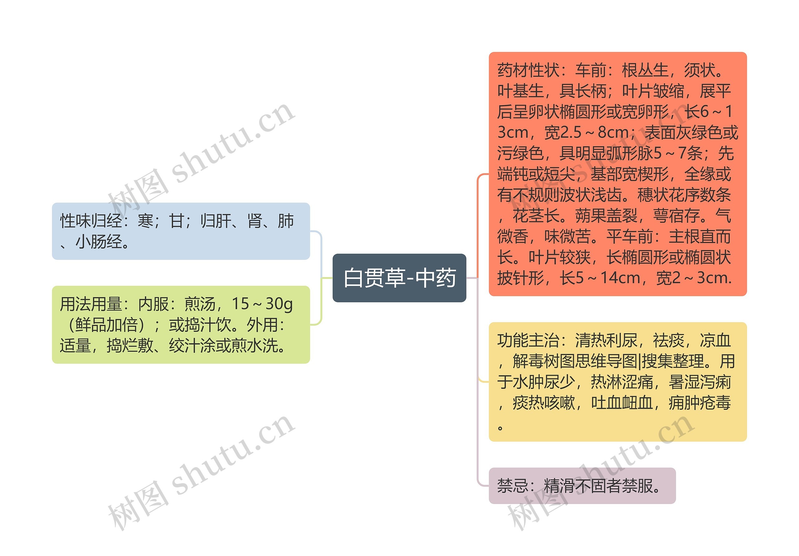 白贯草-中药思维导图