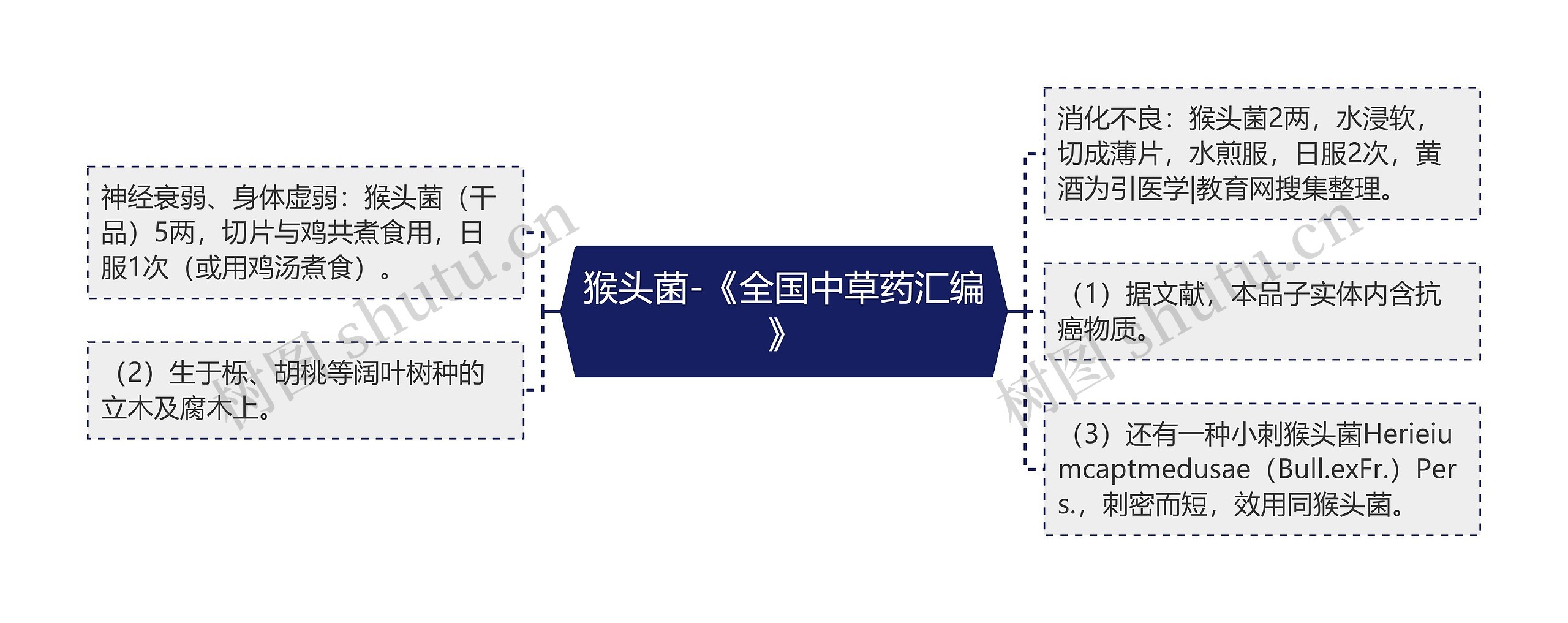 猴头菌-《全国中草药汇编》