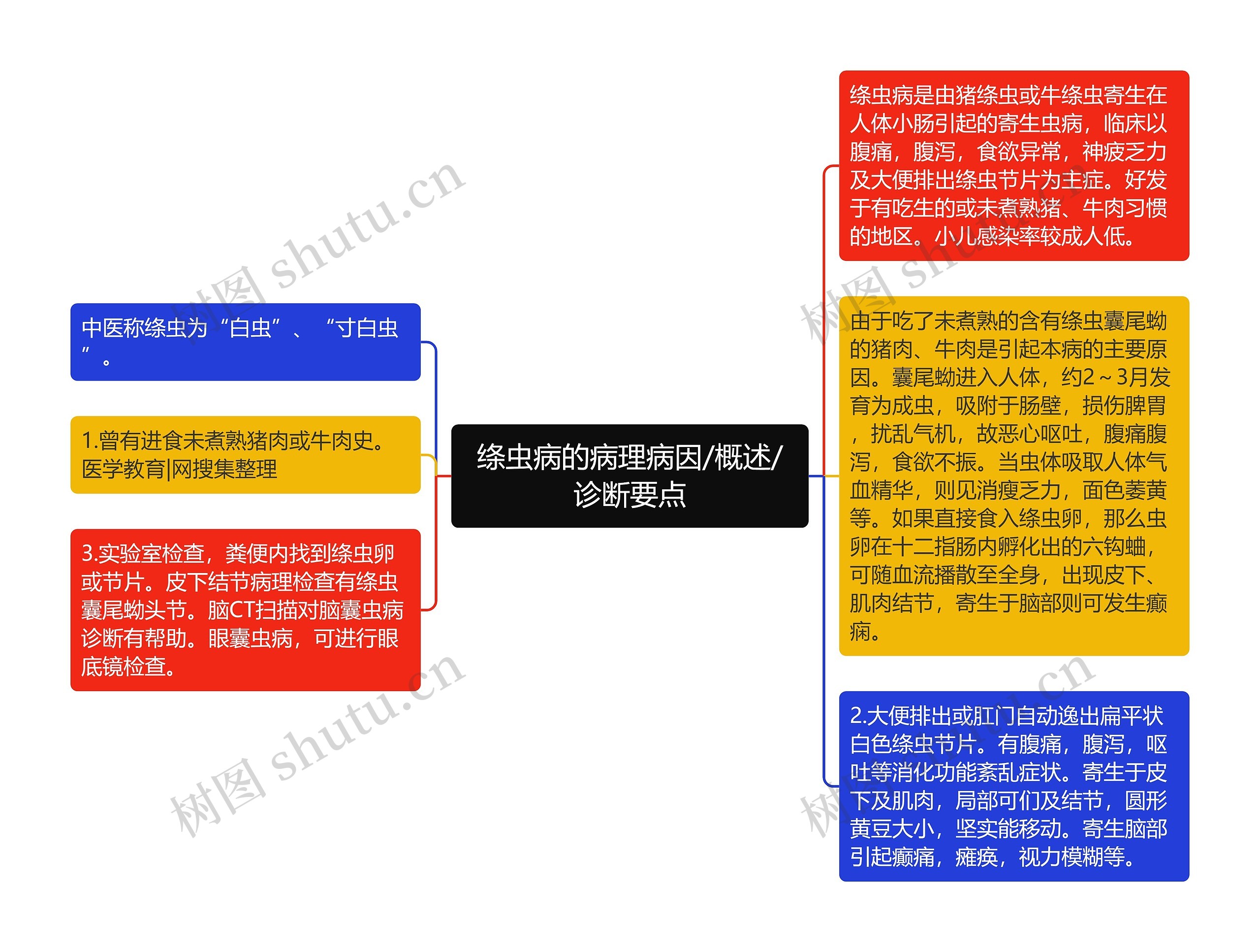 绦虫病的病理病因/概述/诊断要点思维导图