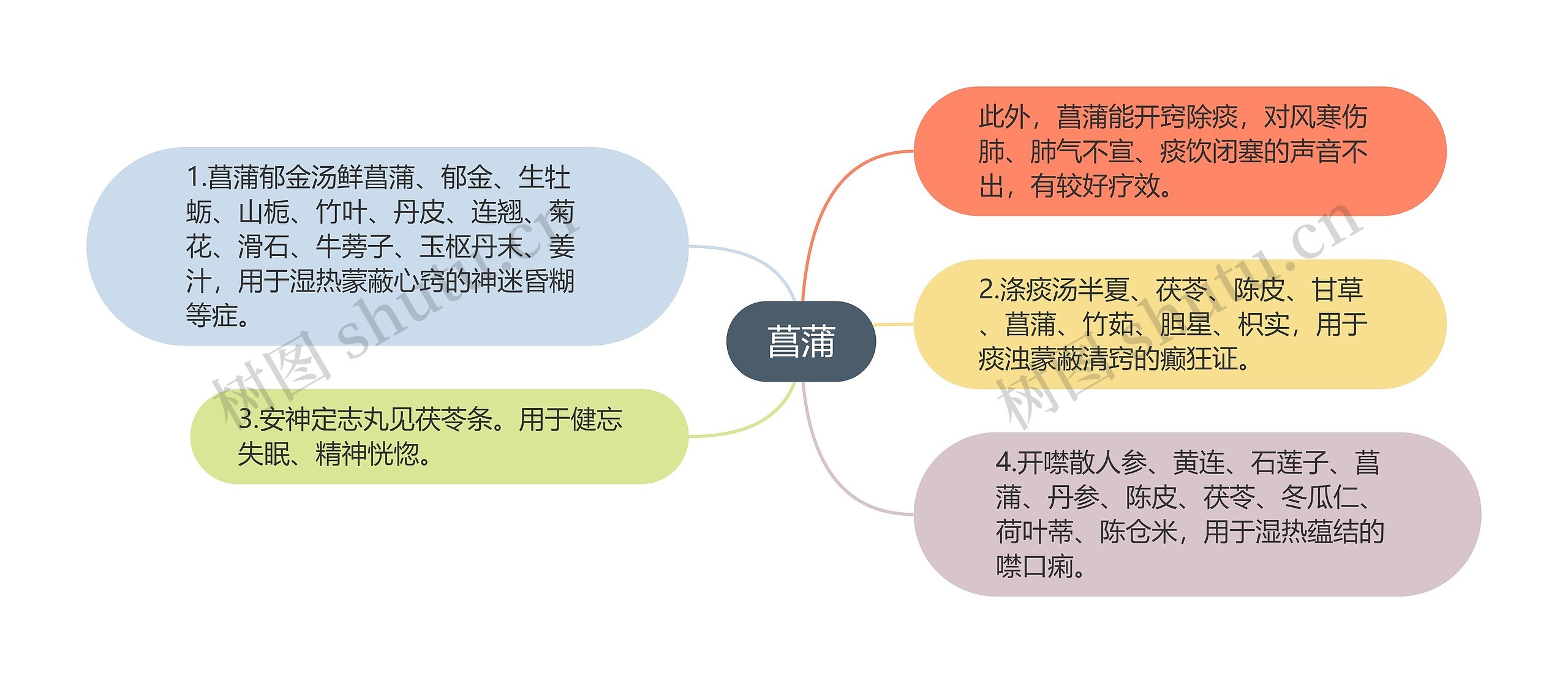 菖蒲思维导图