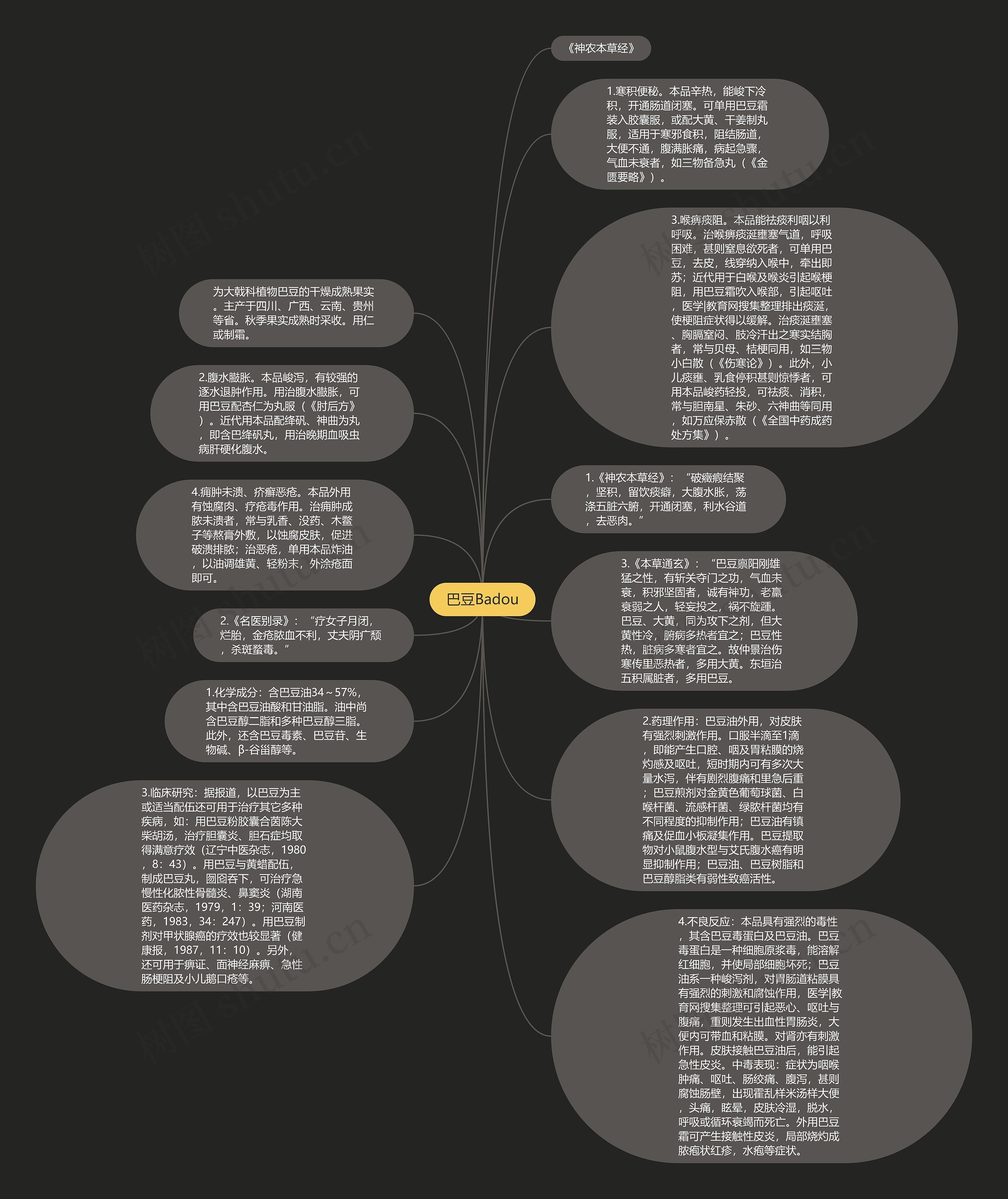 巴豆Badou思维导图