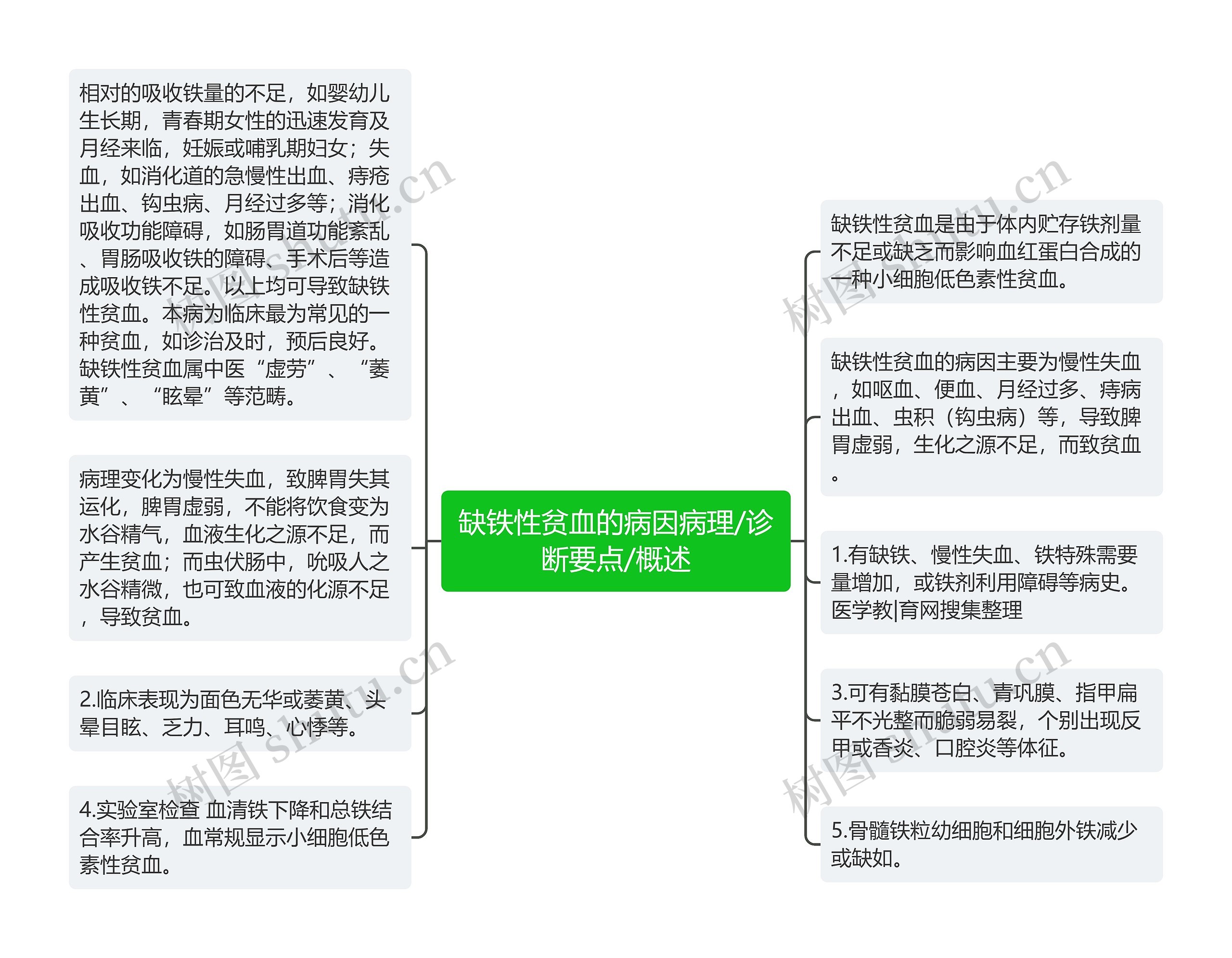 缺铁性贫血的病因病理/诊断要点/概述