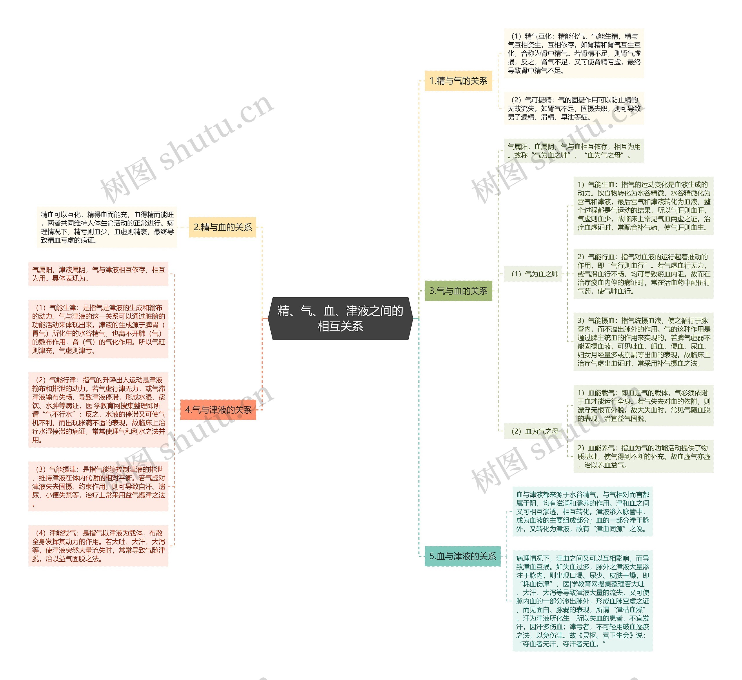 精、气、血、津液之间的相互关系思维导图