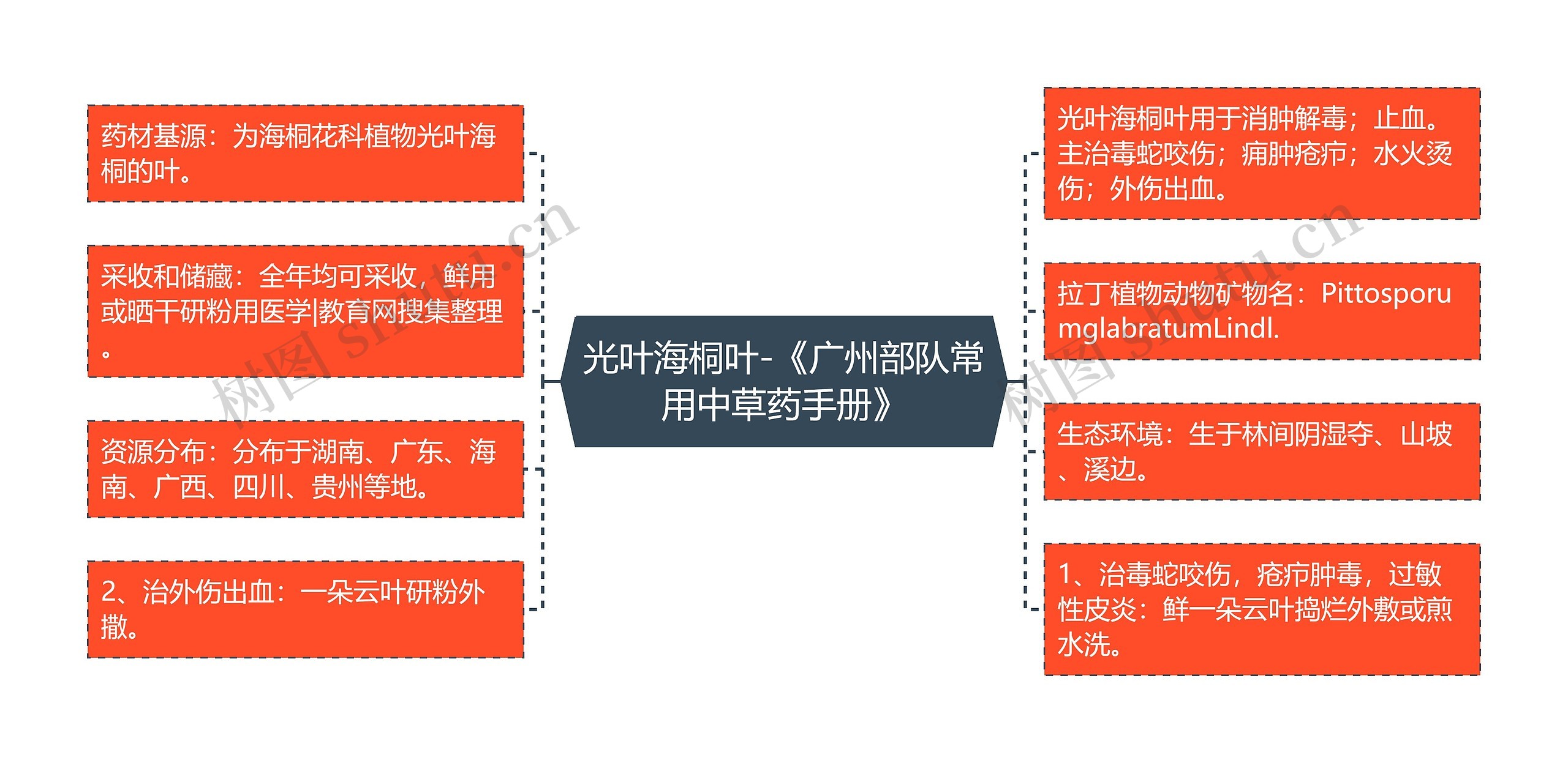 光叶海桐叶-《广州部队常用中草药手册》思维导图