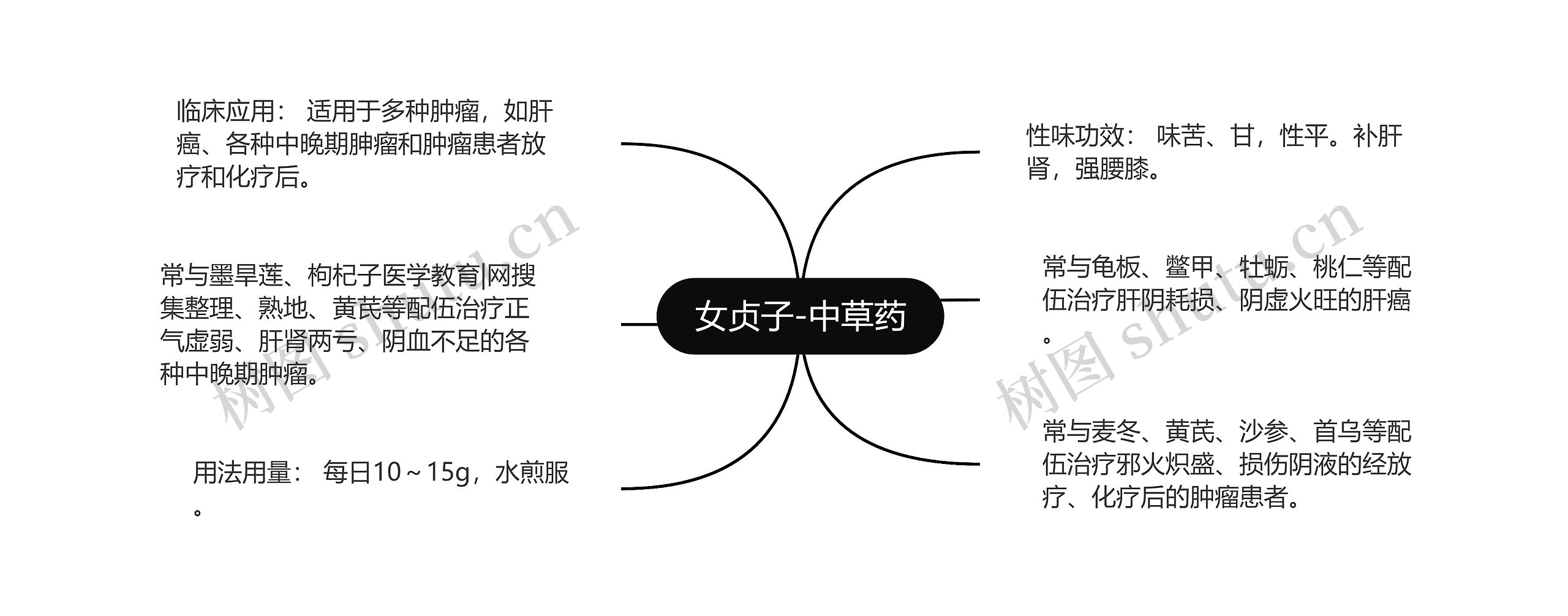 女贞子-中草药思维导图