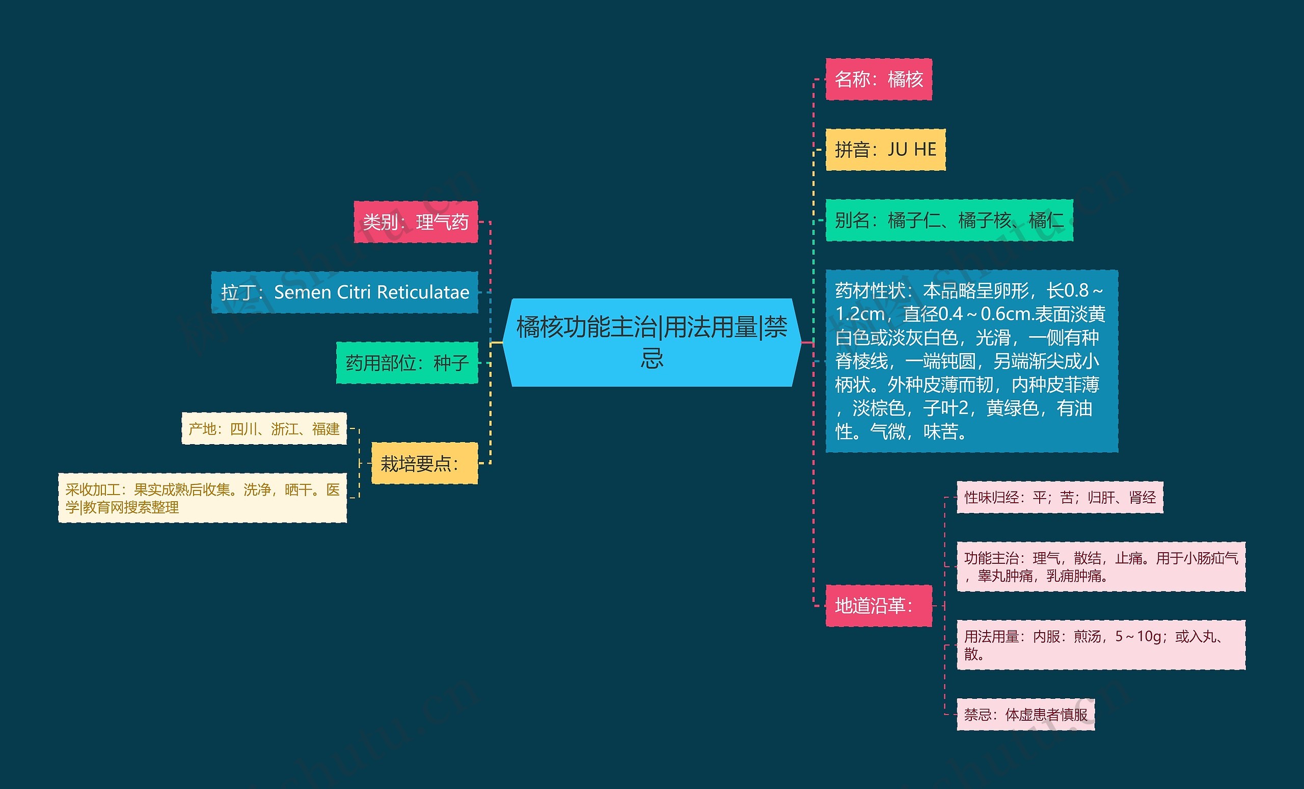 橘核功能主治|用法用量|禁忌思维导图