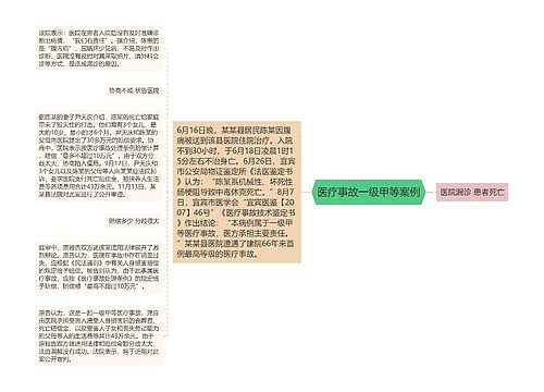 医疗事故一级甲等案例