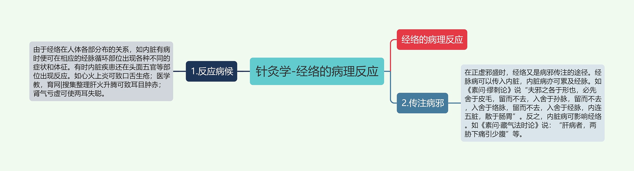 针灸学-经络的病理反应 针灸学-经络的病理反应