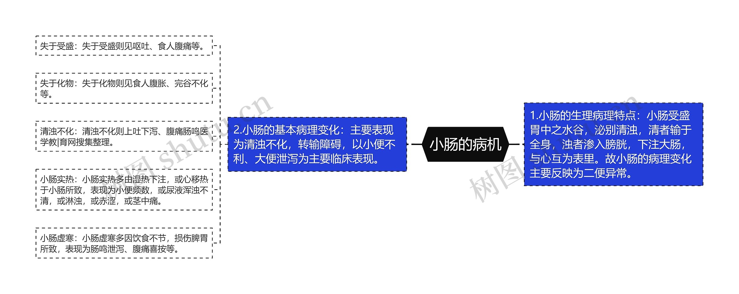 小肠的病机 小肠的病机