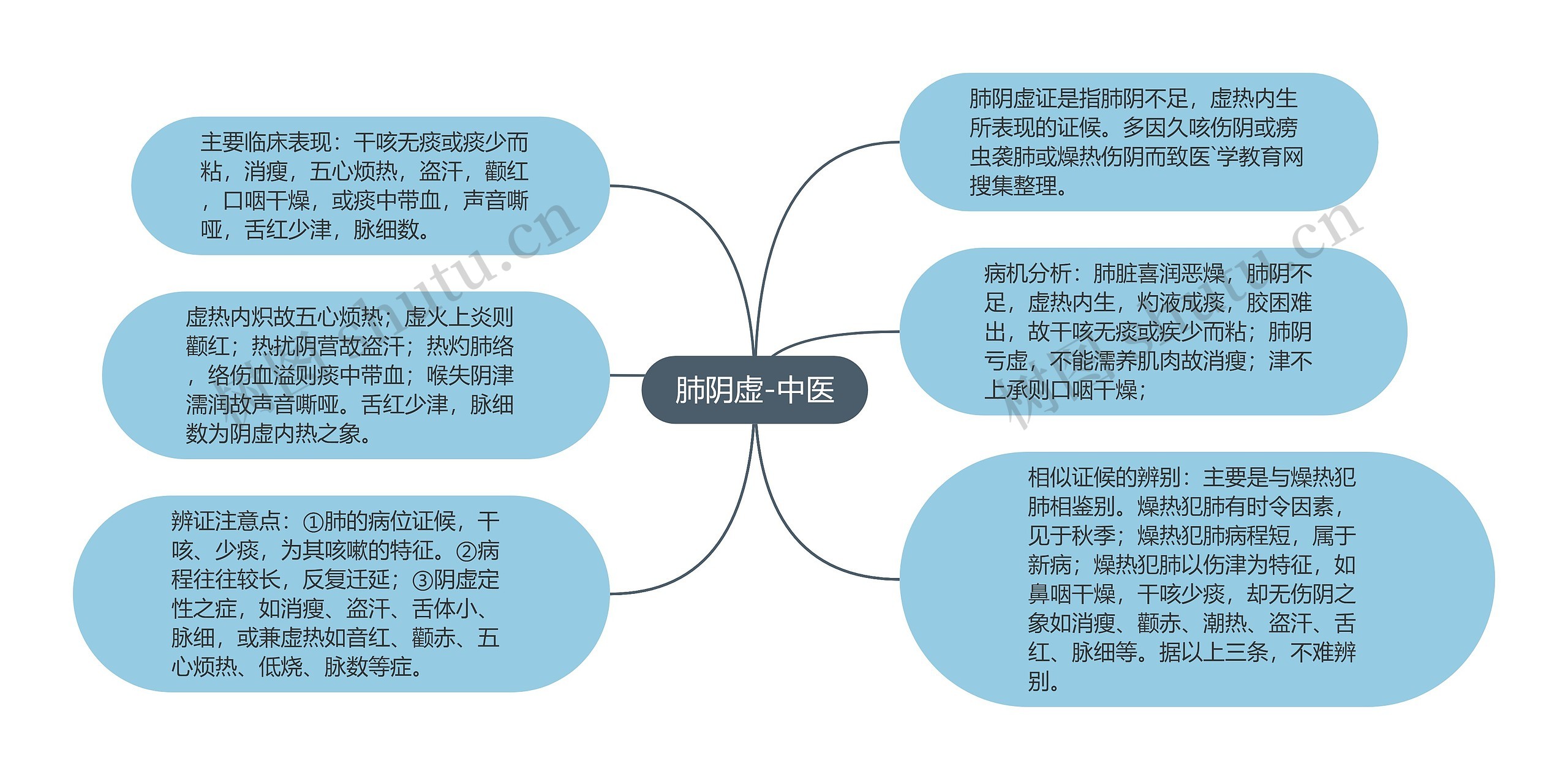 肺阴虚-中医思维导图