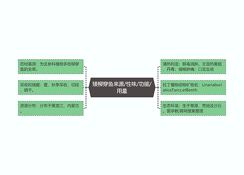 矮柳穿鱼来源/性味/功能/用量