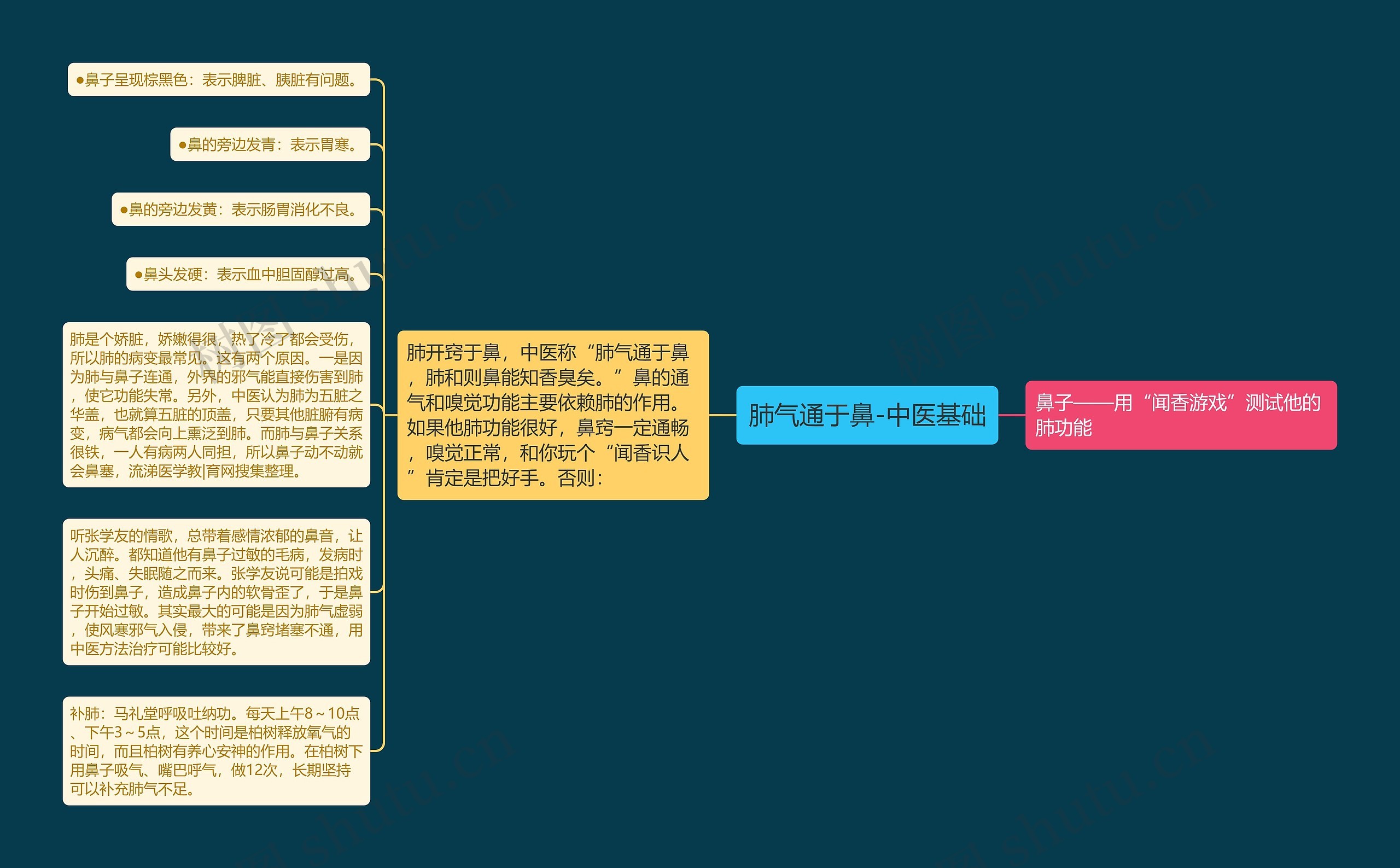 肺气通于鼻-中医基础思维导图