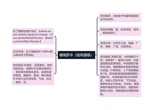 铺地罗伞（祛风通络）