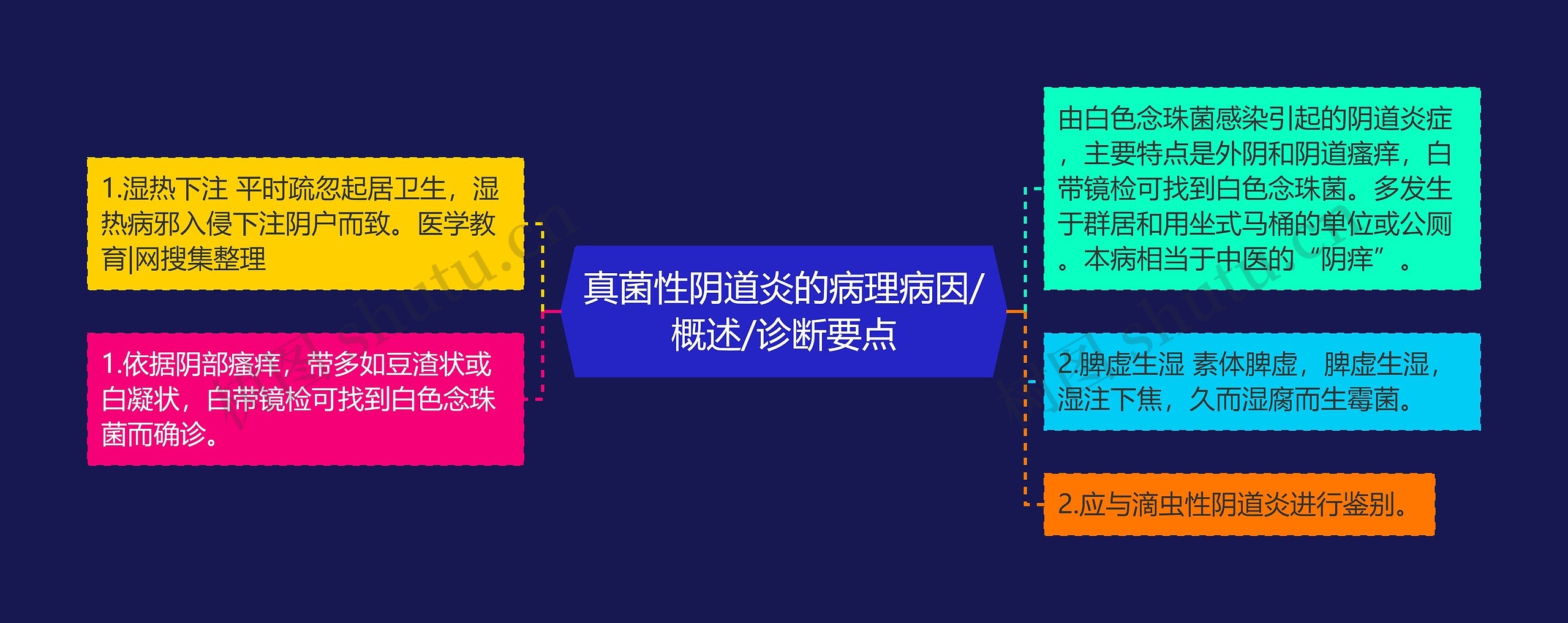 真菌性阴道炎的病理病因/概述/诊断要点