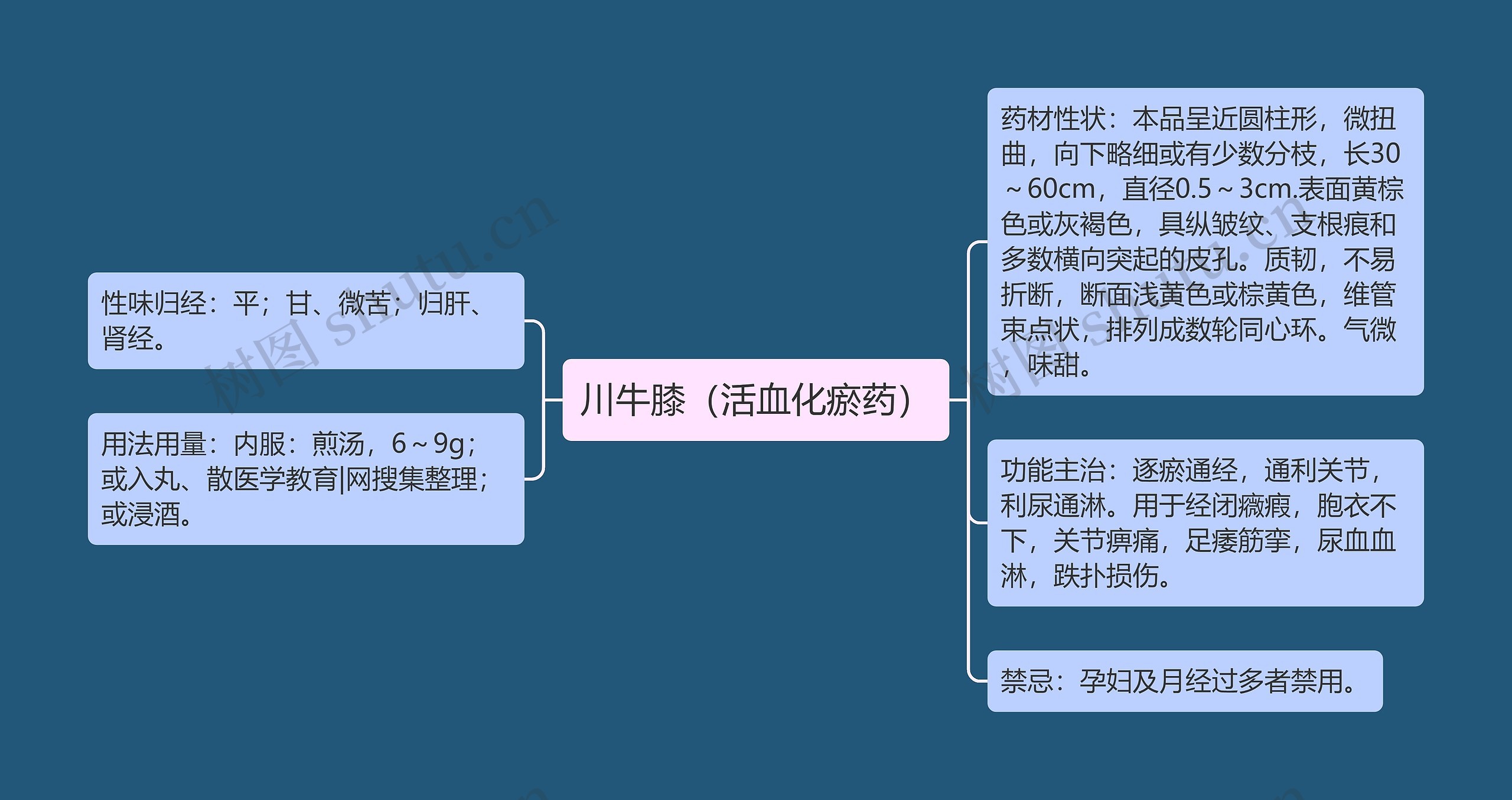 川牛膝（活血化瘀药）思维导图