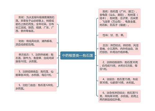 中药根茎类—抱石莲