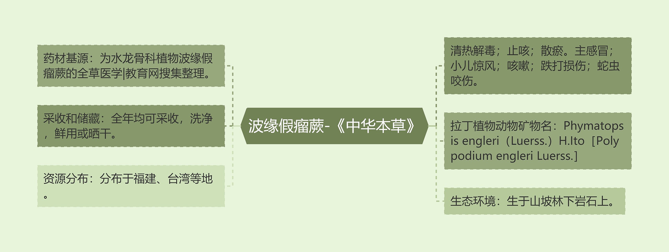 波缘假瘤蕨-《中华本草》思维导图