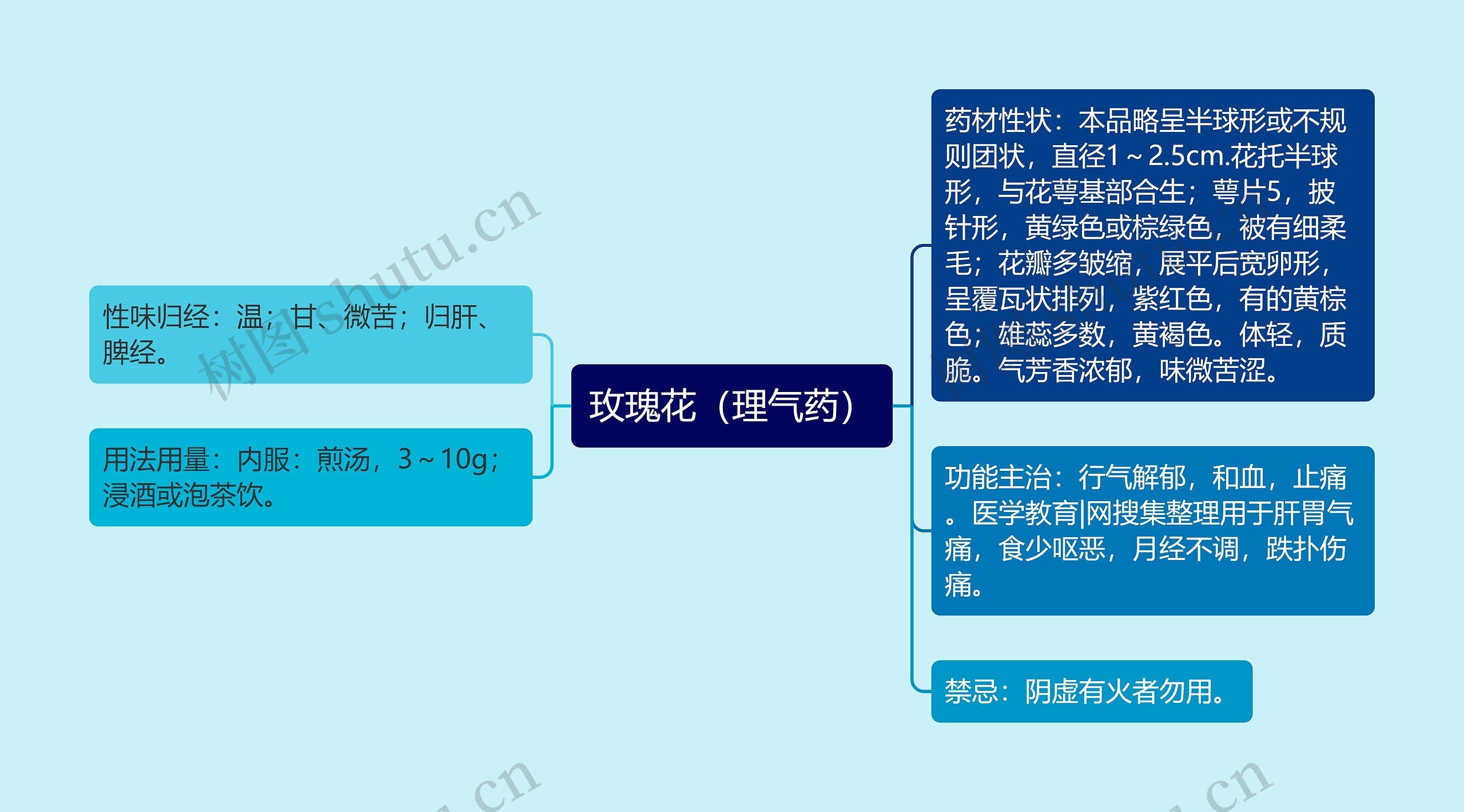 玫瑰花(理气药) 玫瑰花(理气药)
