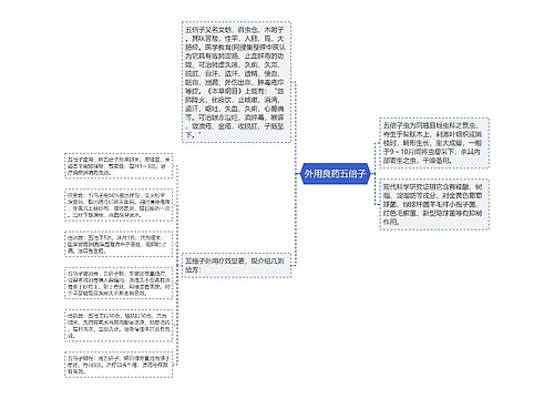 外用良药五倍子